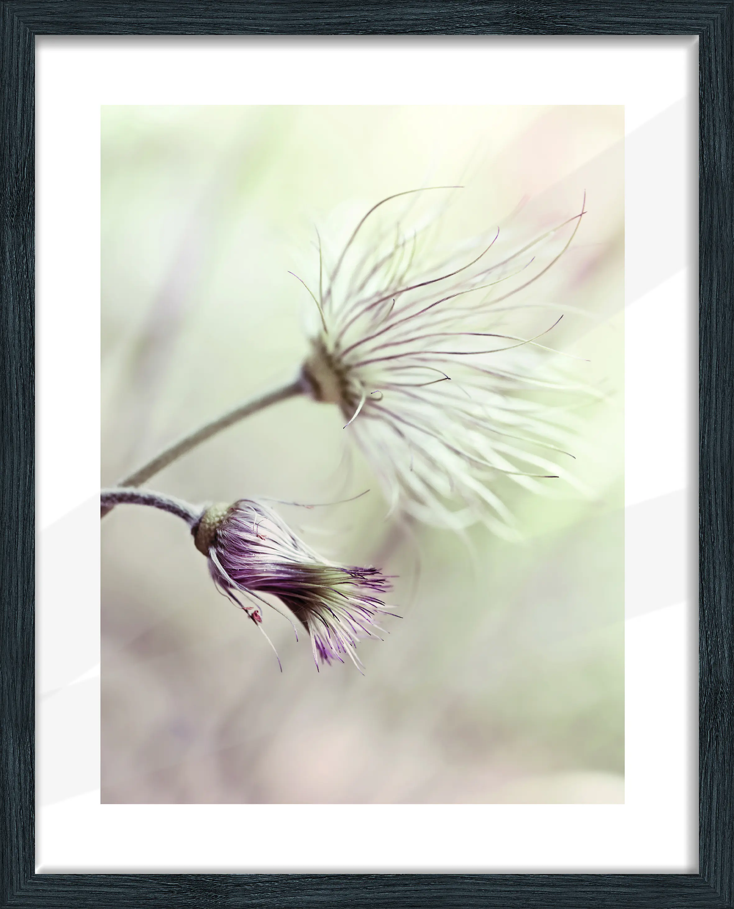 Bilderrahmen Holz Arosa eiche schwarz 40 x 50 cm