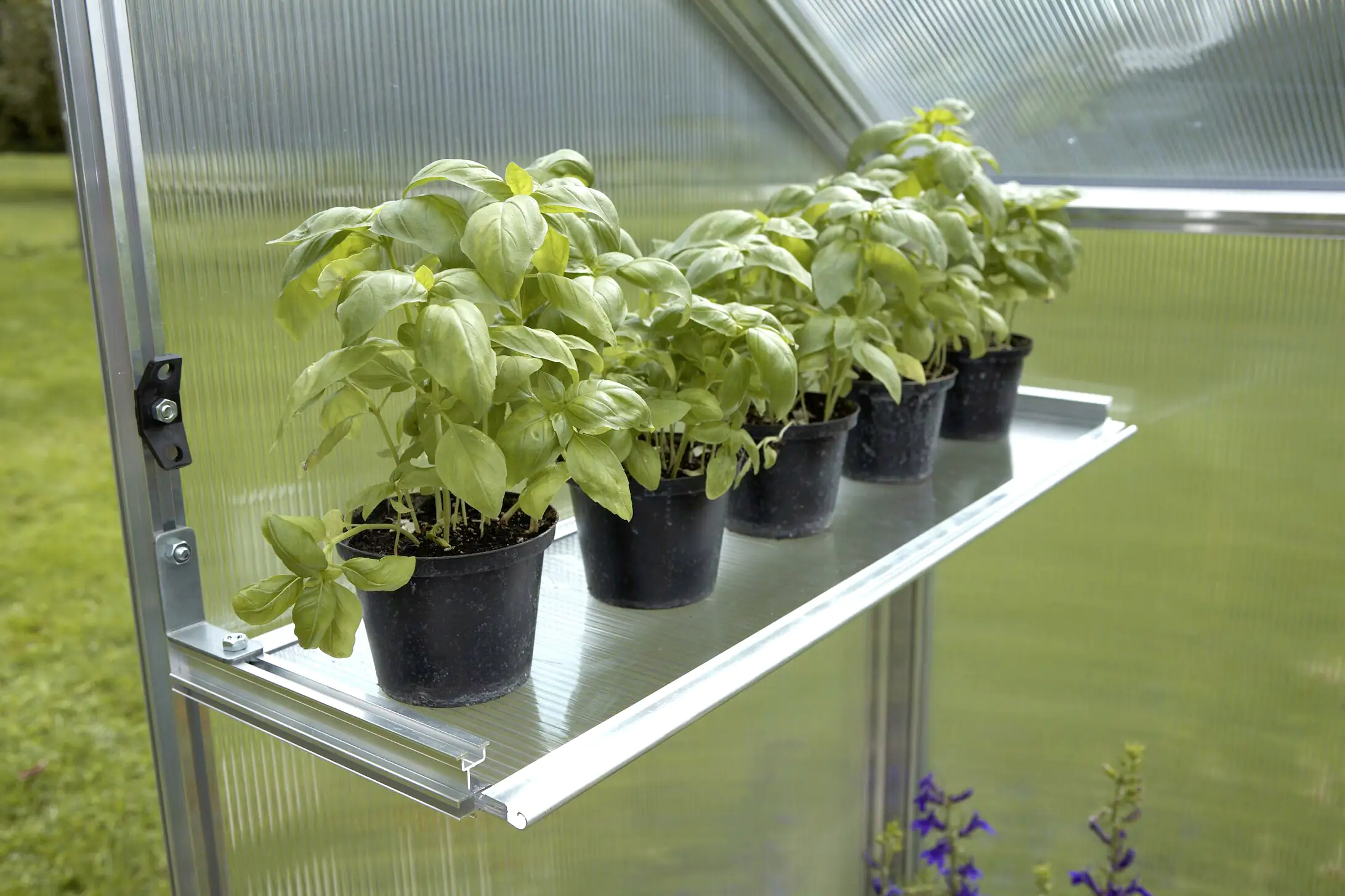 4003412062433 Gutta Alu-Hängebord passend für Gutta Gewächshaus Typ 2 bis Typ, 6 77 x 3 x 24 cm