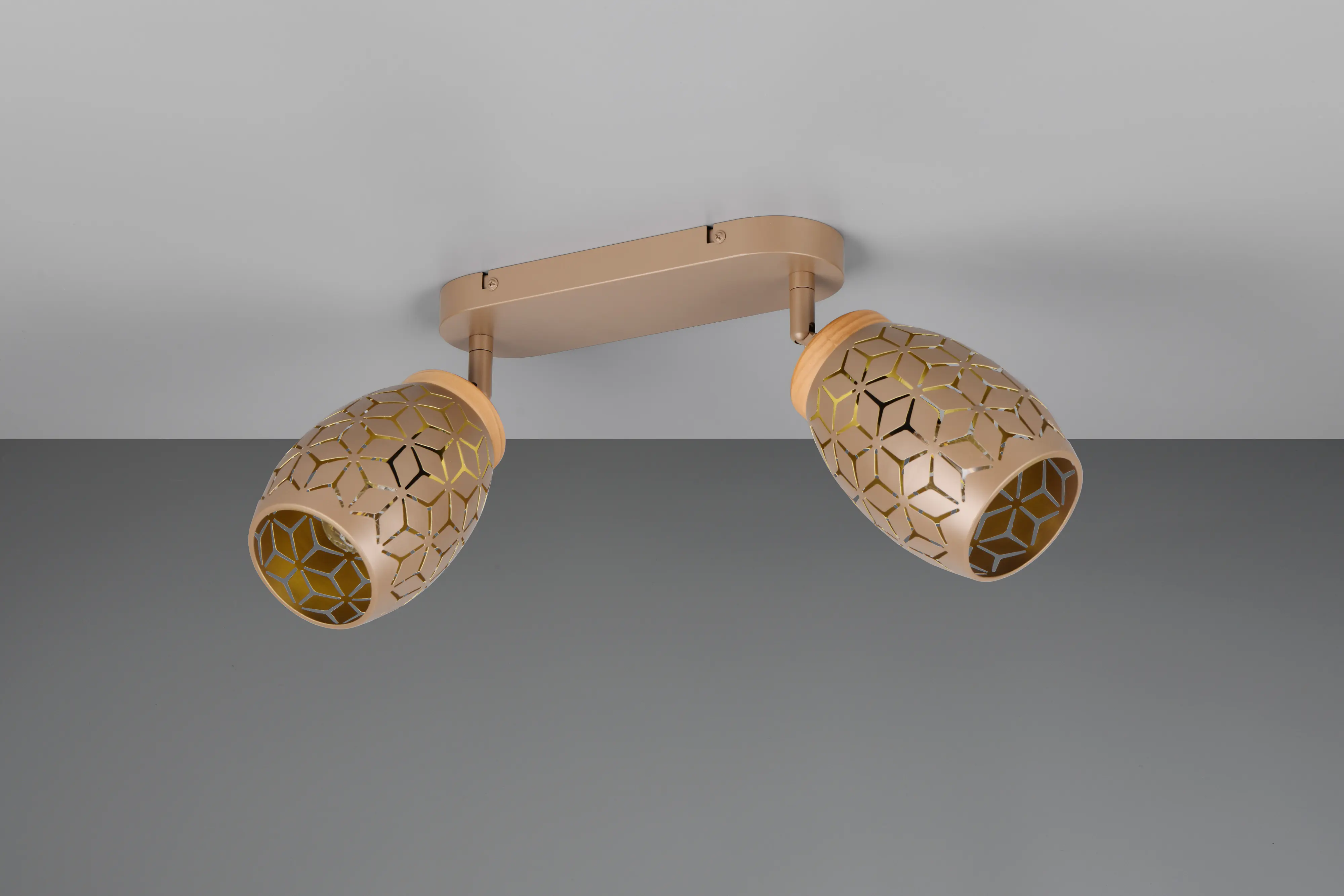 Trio LED-Deckenlampe 2er Spot Bidar 28 cm coffee