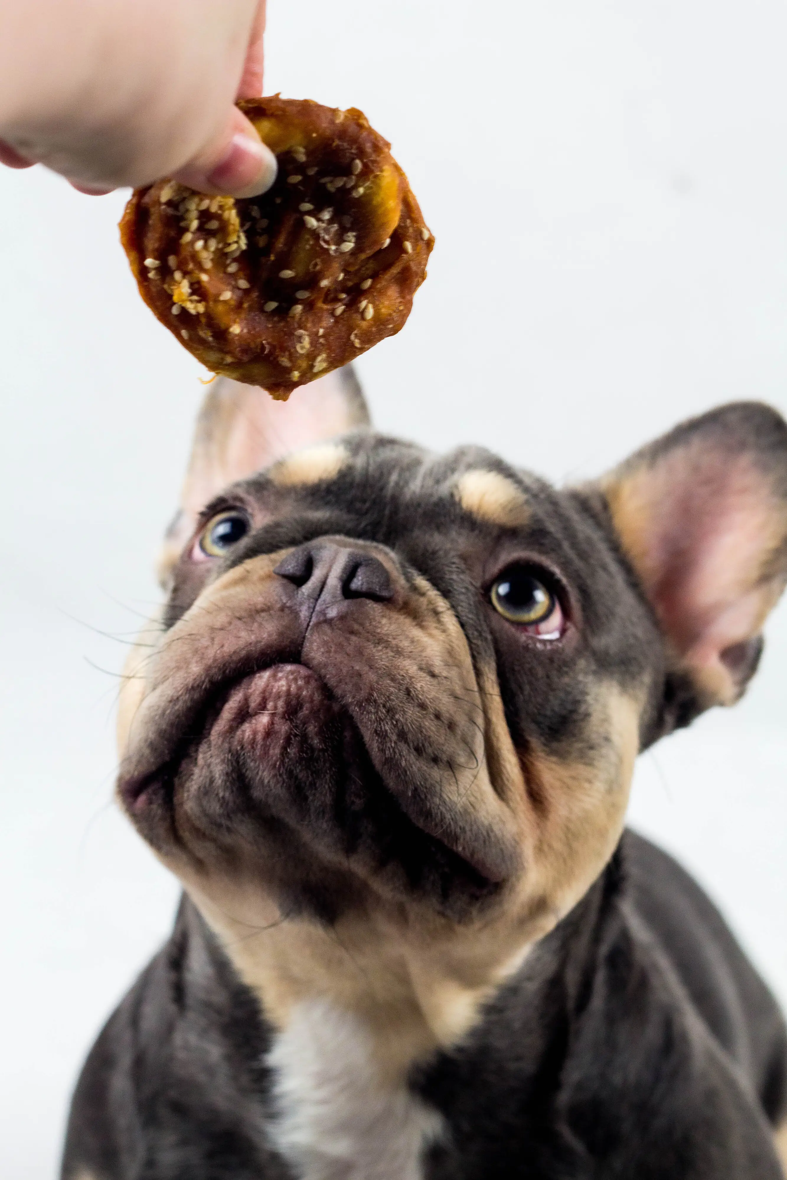 Nobby StarSnack Barbecue Chicken Pretzel Hundesnack 100 g