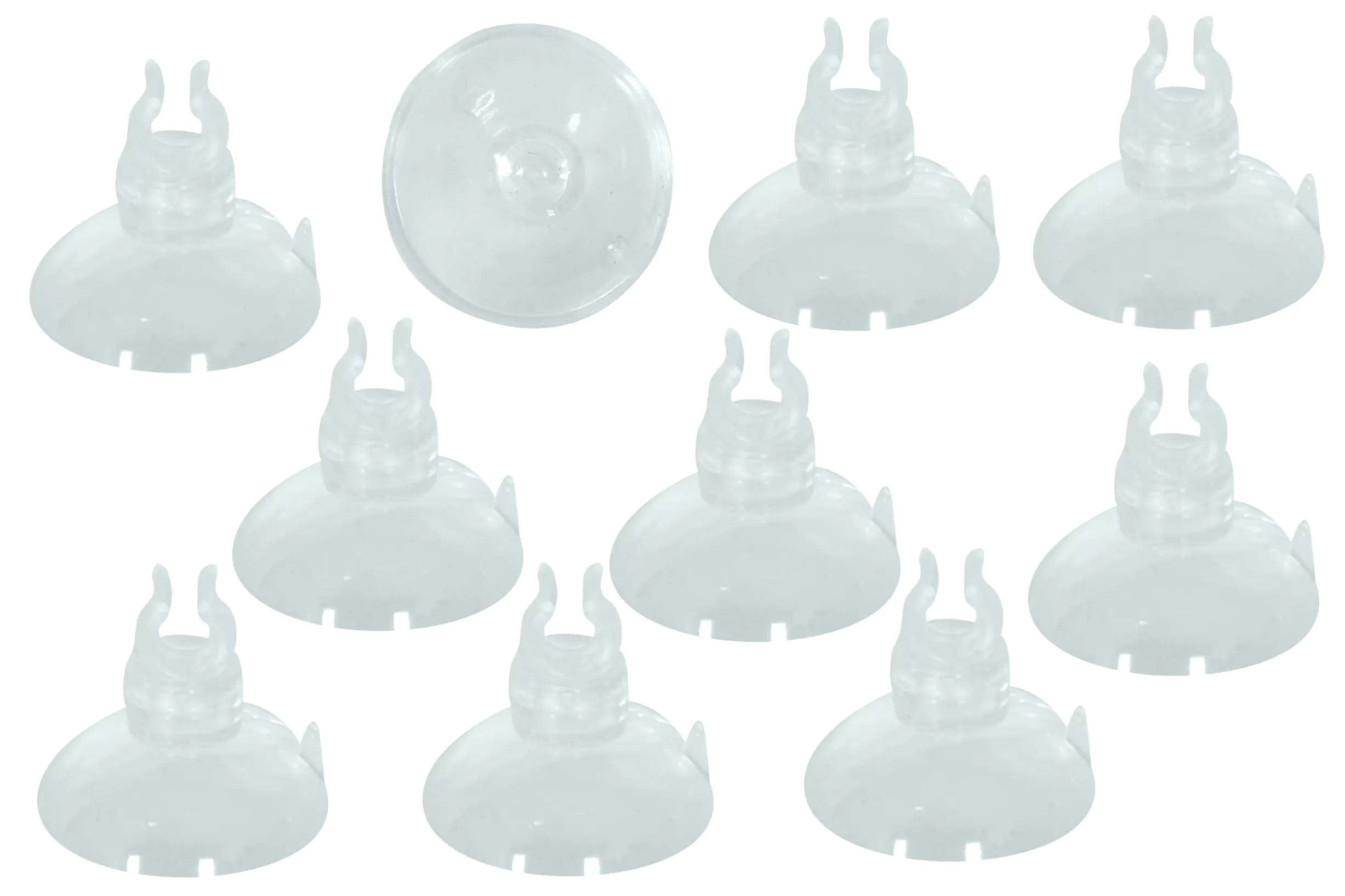 TrendLine Saugnapfhalter Für Lichterketten 2 cm 10 Stück