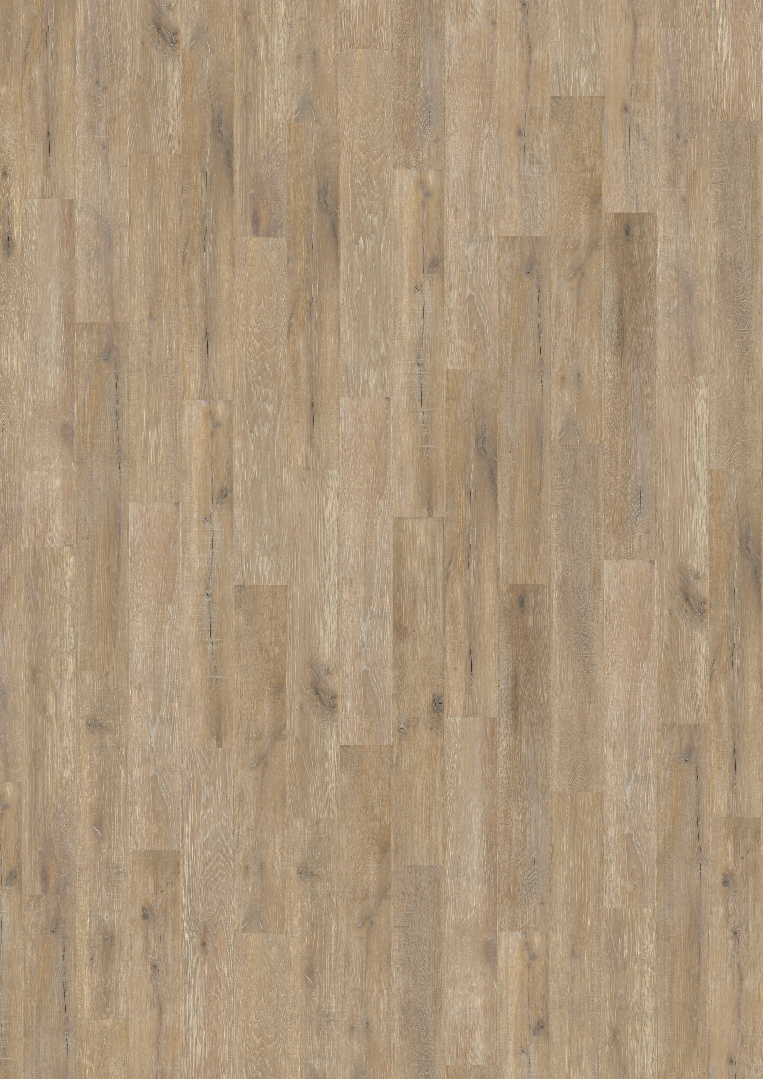 Decolife Vinylboden mit Trittschalldämmung Naturestyle Oak Raw