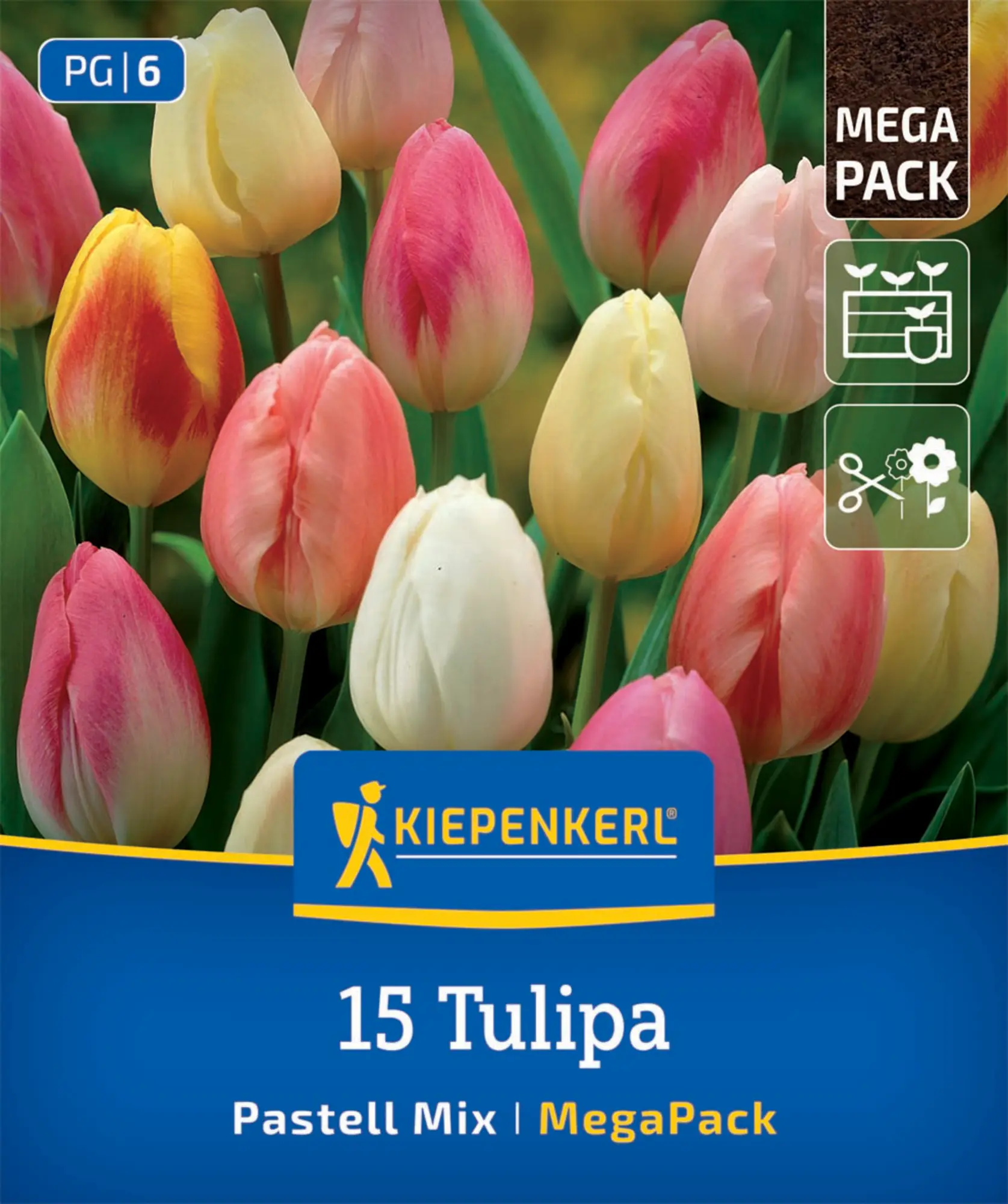 Kiepenkerl Herbstblumenzwiebel Tulpen Pastell Farbenspiel 15 Stück