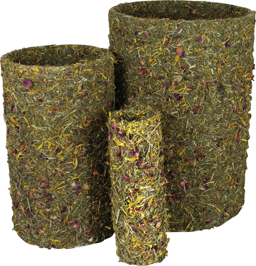 4024344099090 JR Frühlings-Rolle mittel