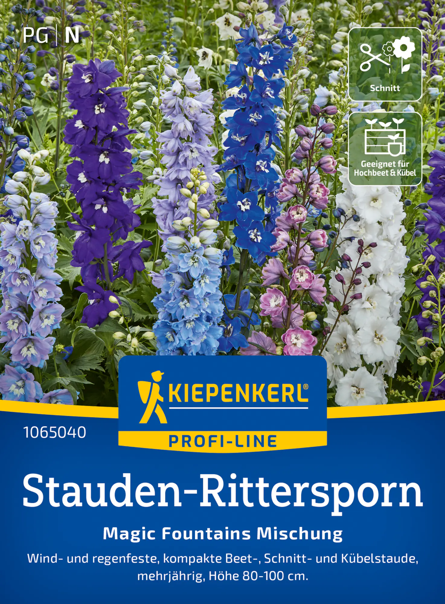 Kiepenkerl Profi-Line Blumensamen Stauden-Rittersporn Magic Fountains Mischung für ca. 35 Pflanzen