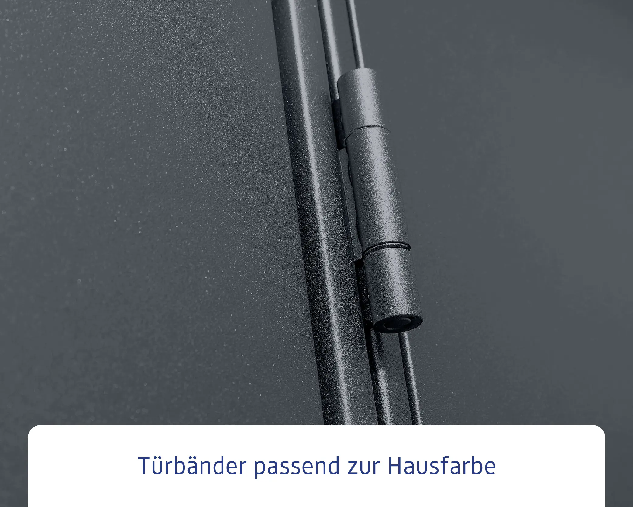 EcoStar Gerätehaus Elegant-P Typ 1 anthrazitgrau 247,9 x 153 x 228,6 cm