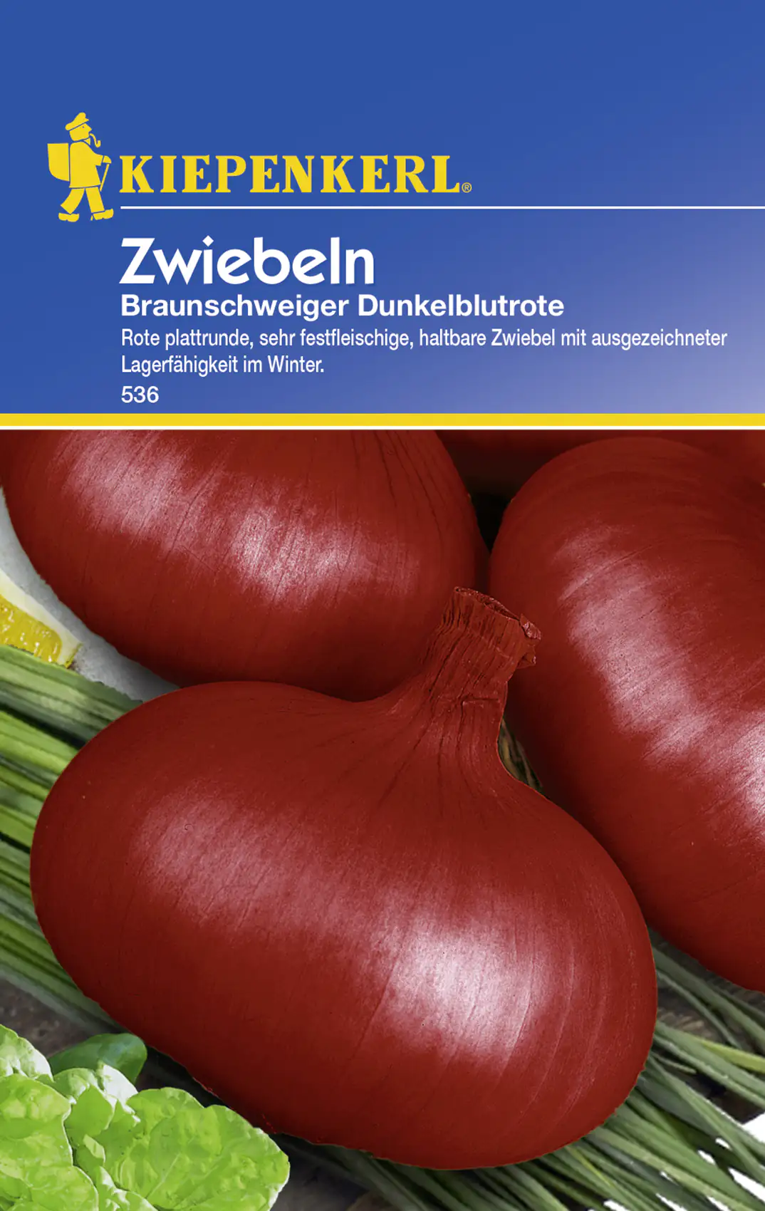 Kiepenkerl Zwiebel Braunschweiger Dunkelblutrote Allium cepa, Inhalt: ca. 6 lfd. Meter