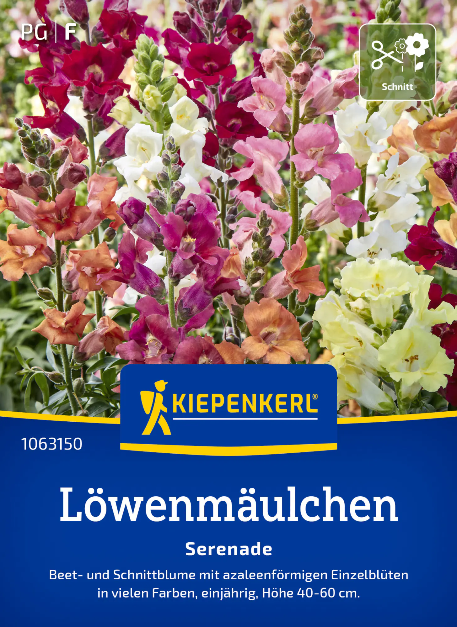 Kiepenkerl Blumensamen Löwenmäulchen Serenade für ca. 200 Pflanzen