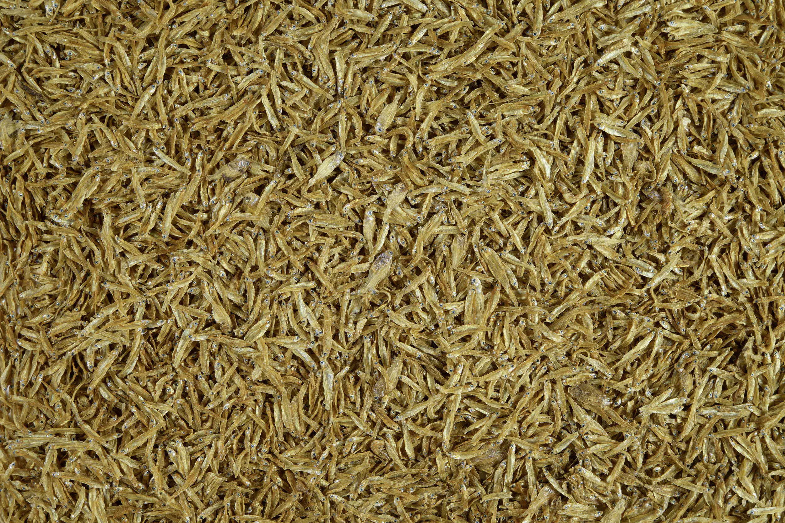 Tetra Anchovies 250 ml