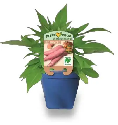 Elles Wildvogelmix 3 kg