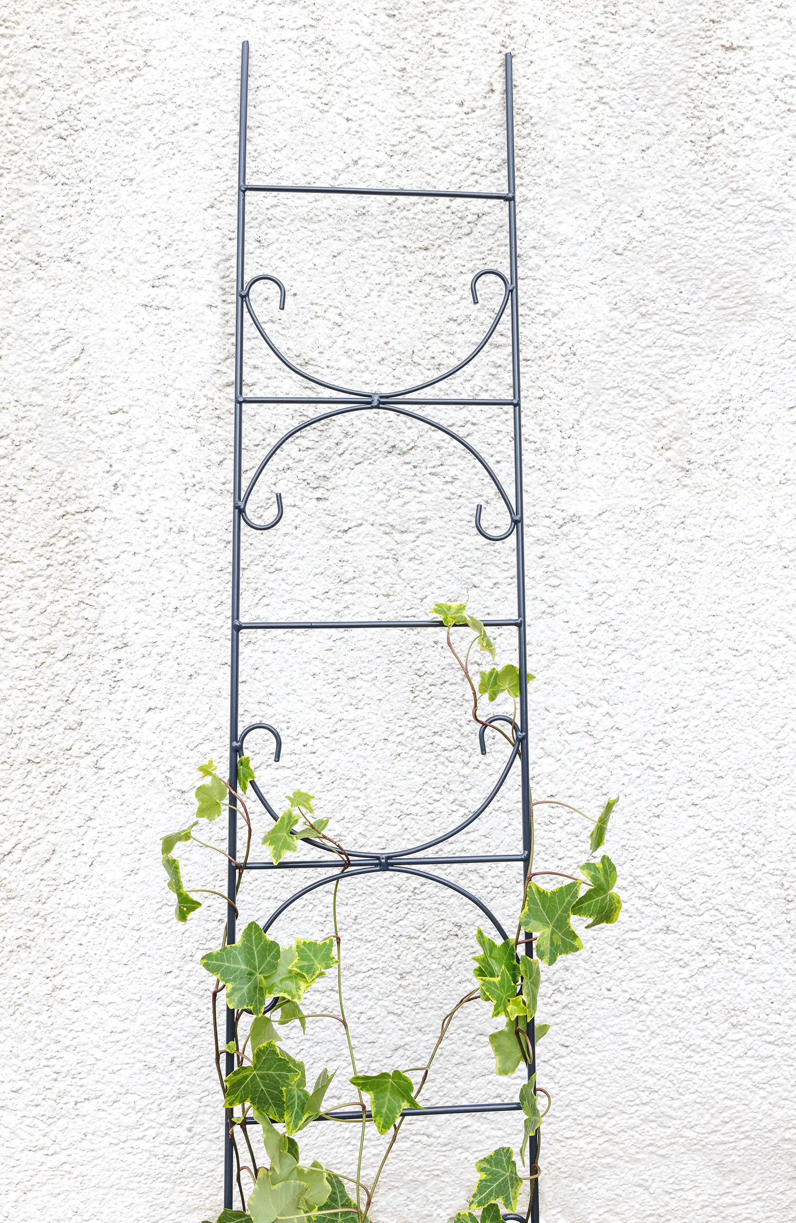 TrendLine Rankhilfe Metall 120 cm dunkelgrau