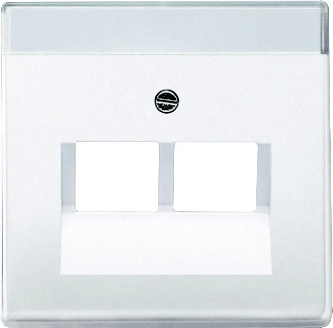 Busch Jaeger UAE-Abdeckung 2-fach Future Linear studioweiß 1803-02-84 