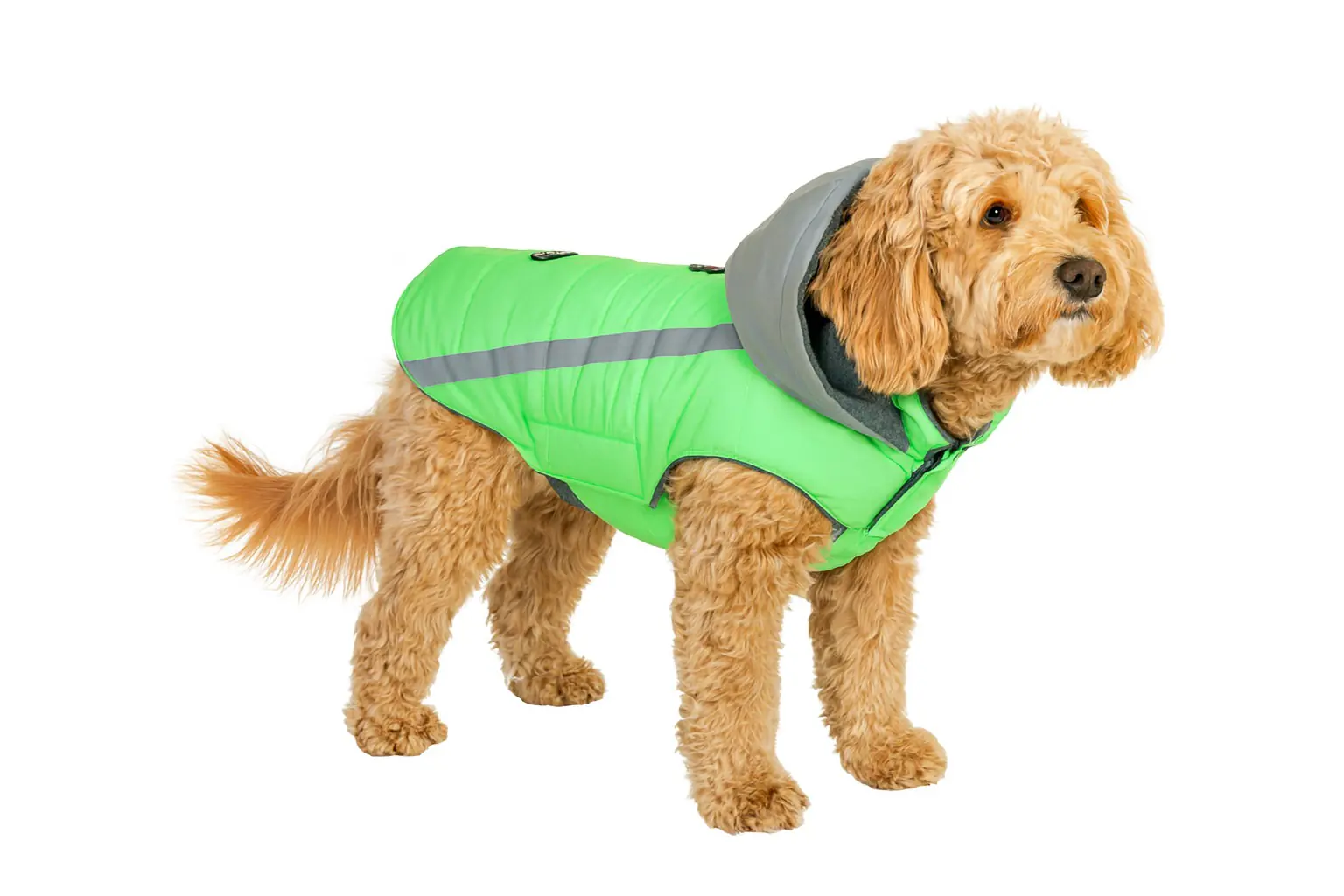 Nobby Hundemantel Reflect cascade