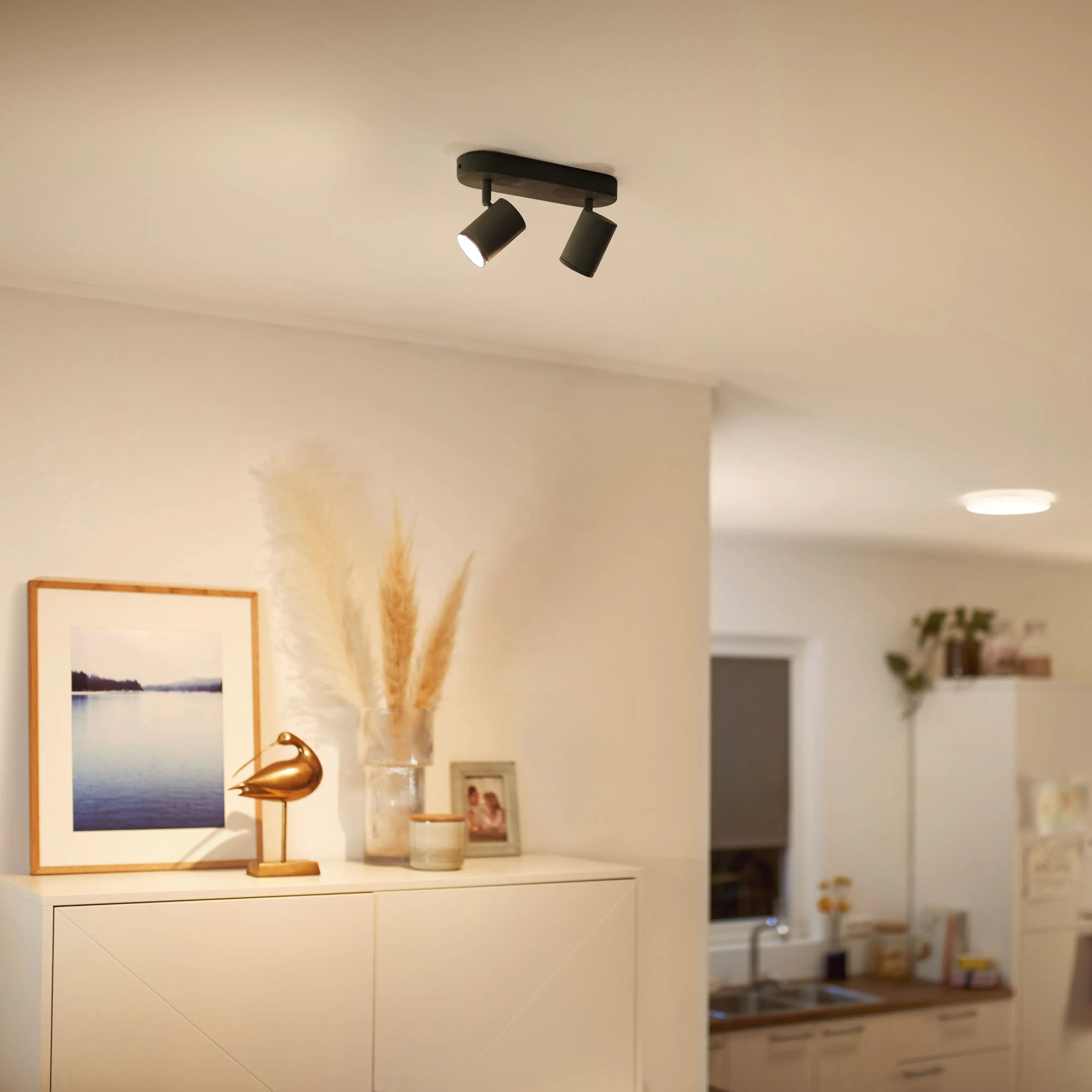 Wiz 2er Spot Imageo 5W RGB schwarz