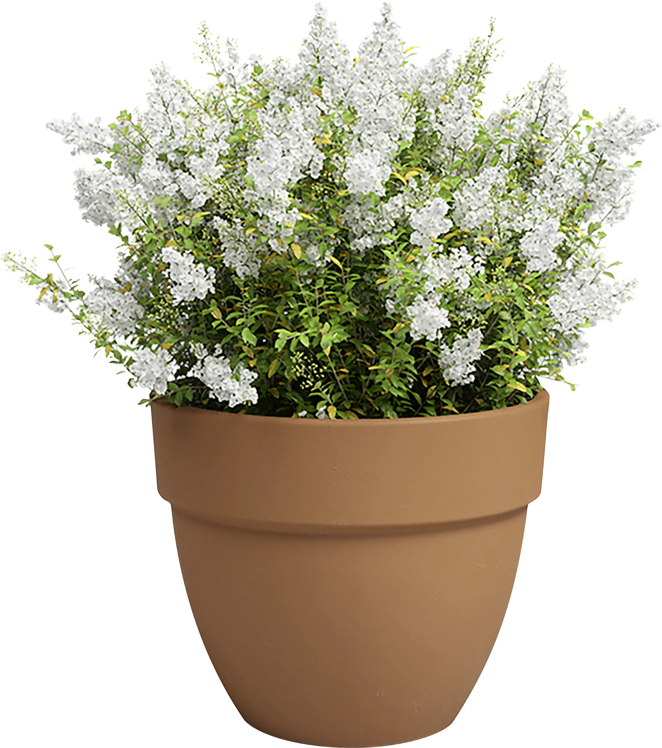 Artevasi Pflanztopf Amália Campana Terrakotta tonrot Ø 40 x 33 cm
