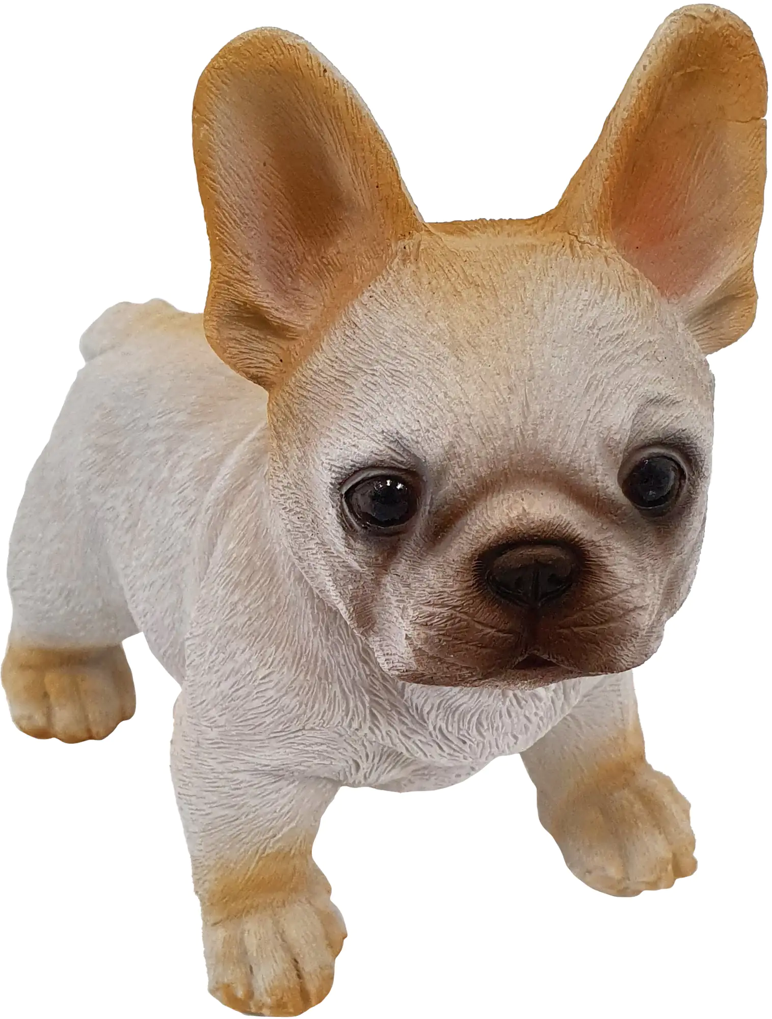 4250486134119 Dekofigur Bulldogge-Welpe 13 x 8 x 15 cm