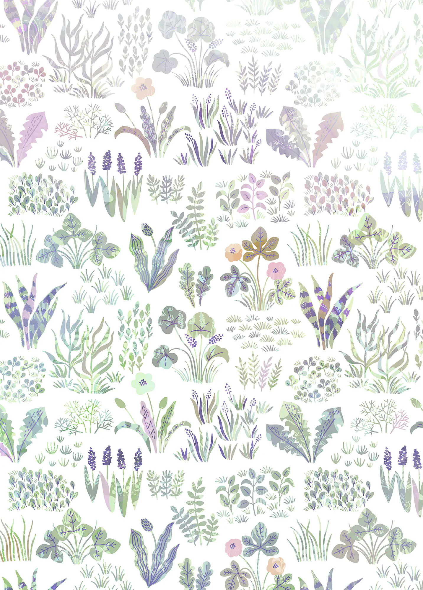 Komar Vlies Fototapete Flower Farm 200 x 280 cm 