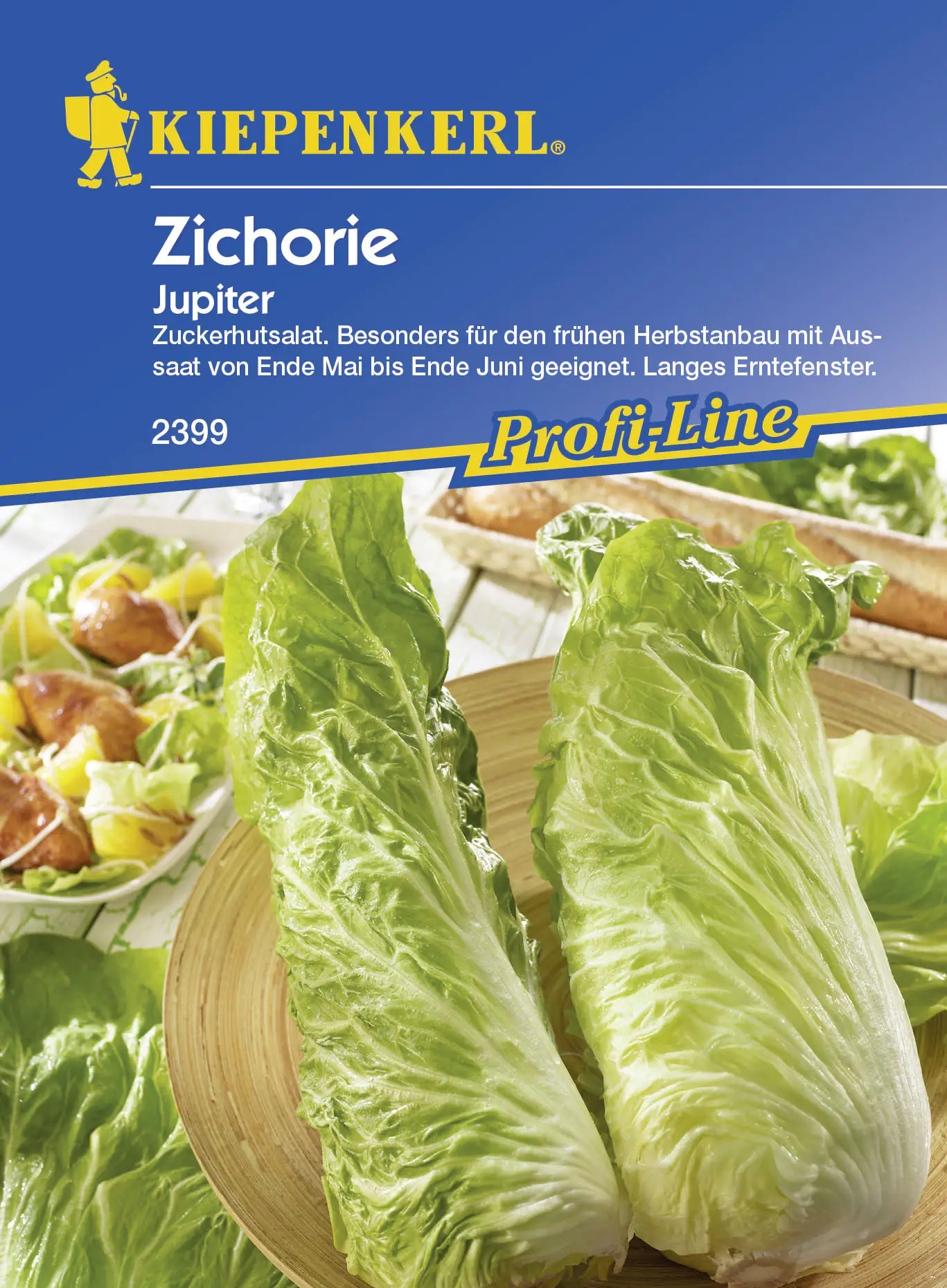 Kiepenkerl Zichorie Jupiter Cichorium intybus, Inhalt: ca. 40 Pflanzen Kiepenkerl Zichorie Jupiter Cichorium intybus, Inhalt: ca. 40 Pflanzen