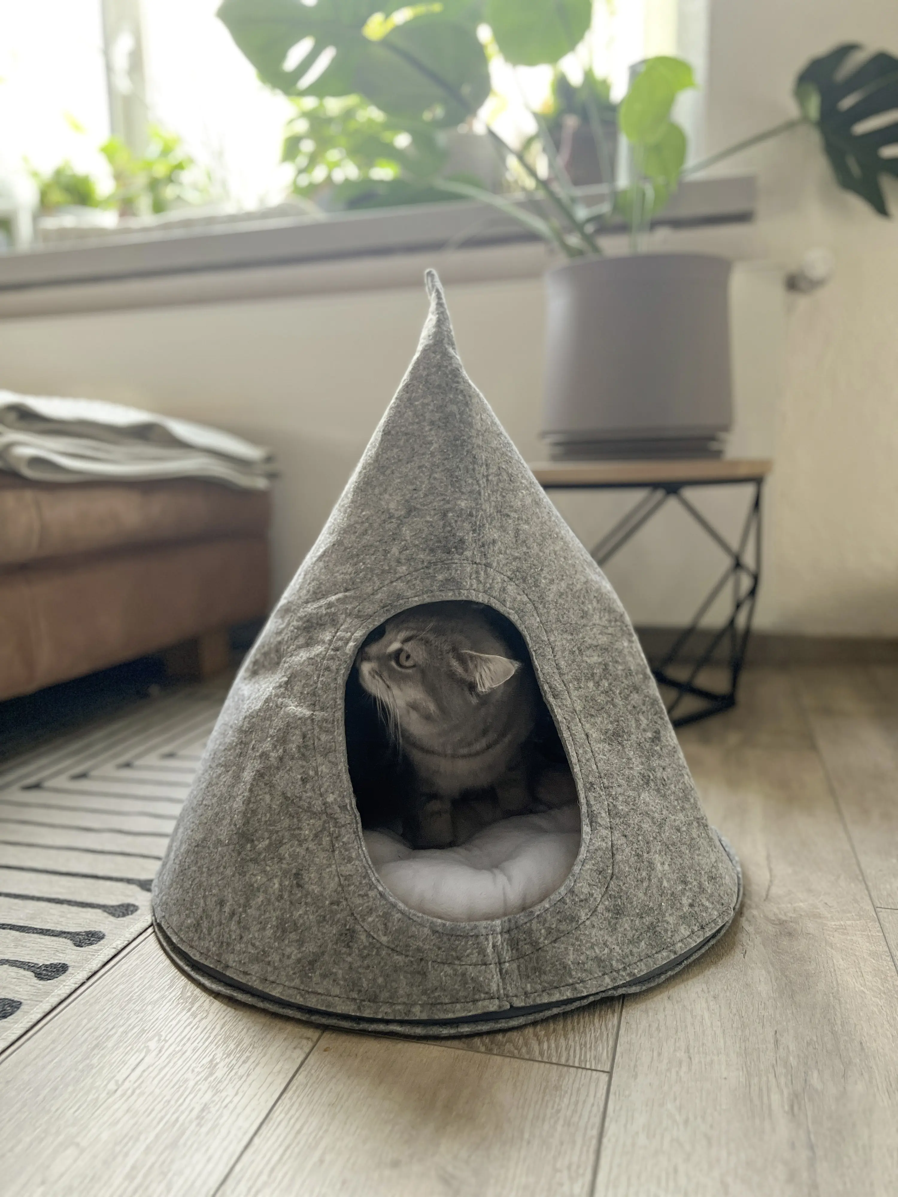 Aumüller Tipi Filz hellgrau mit Reißverschluß waschbar 50 x 50 x 60 cm Aumüller Tipi Filz hellgrau mit Reißverschluß waschbar 50 x 50 x 60 cm