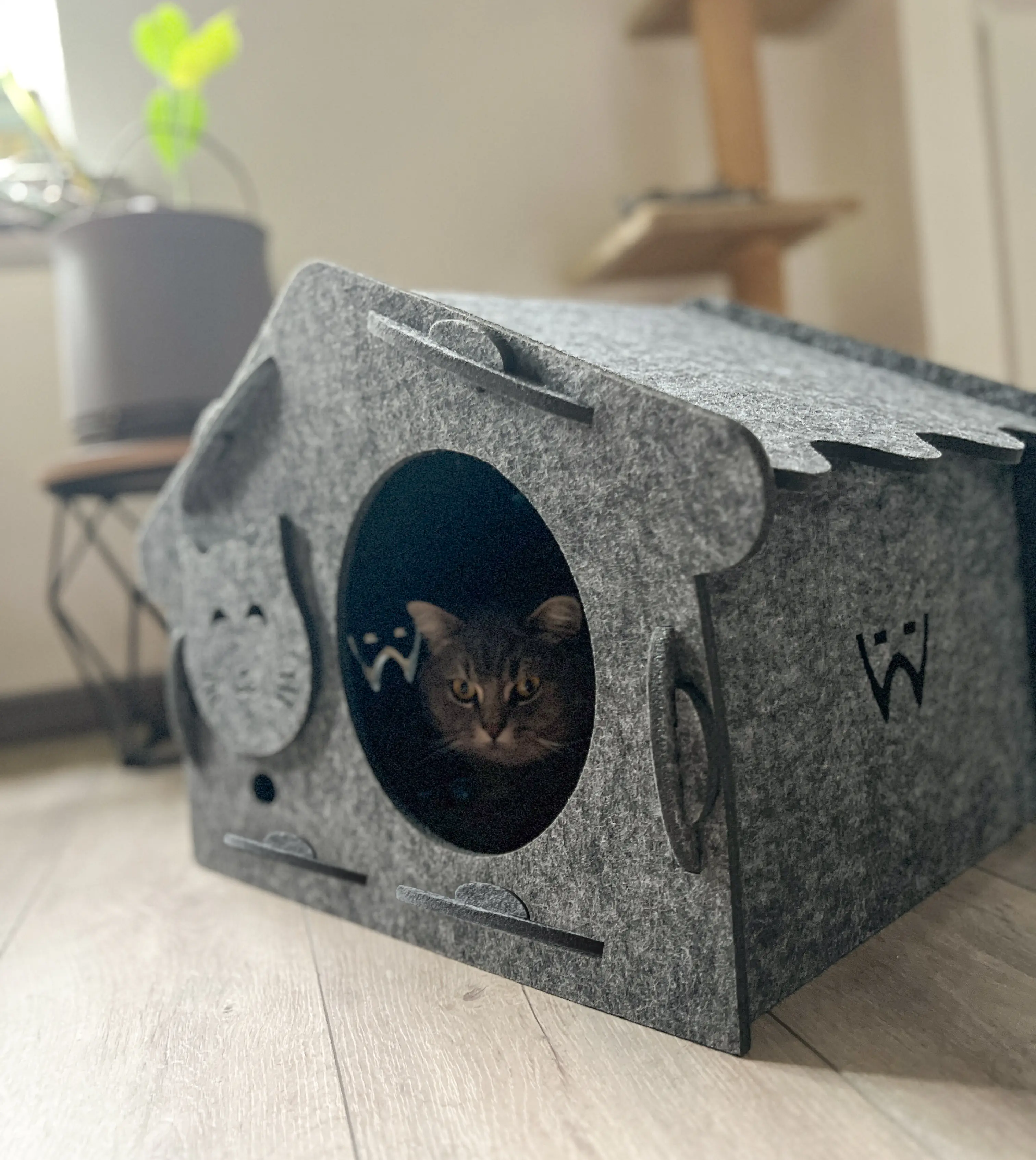 Aumüller Katzenhaus Feli 60 x 40 cm dunkelgrau