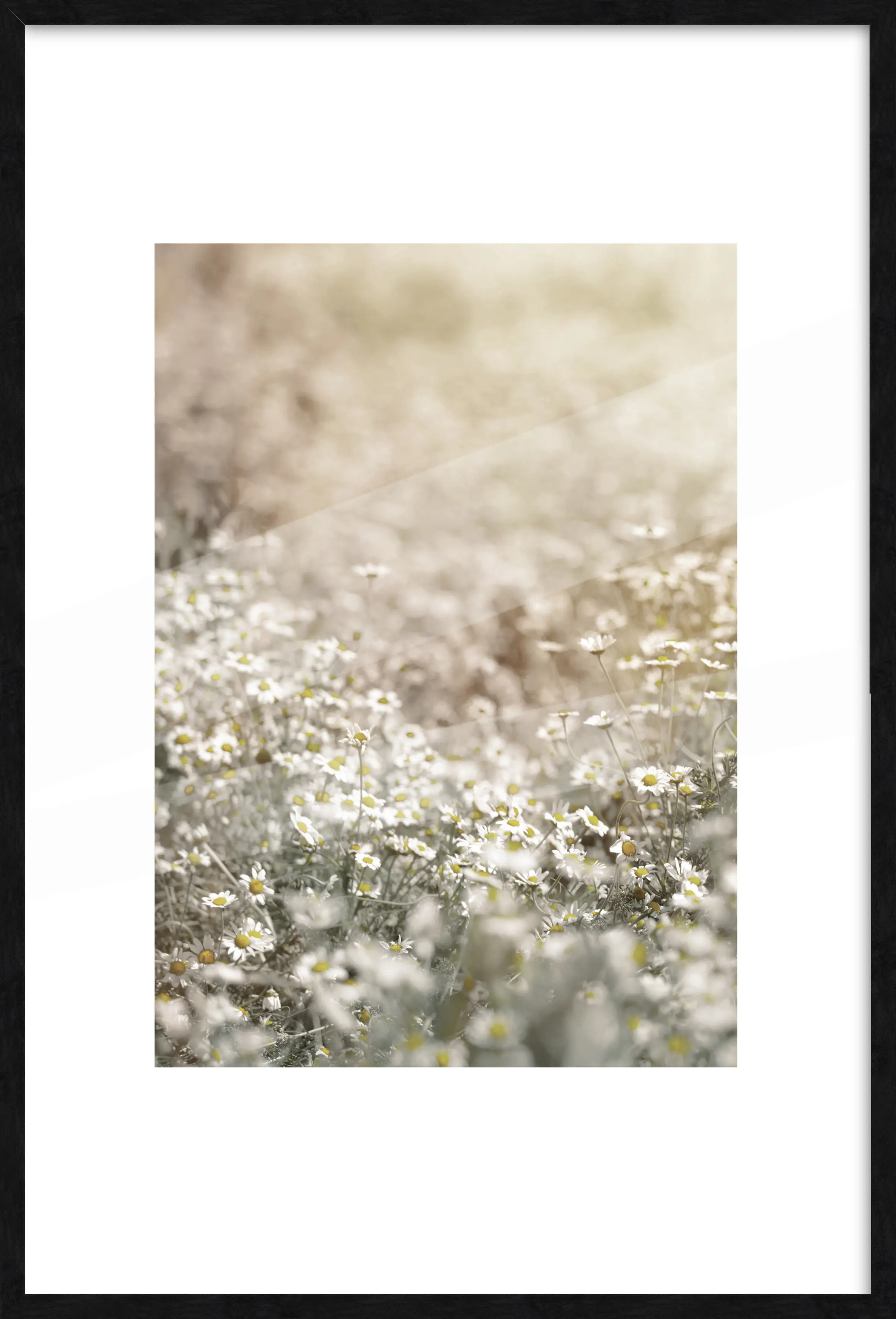 Bilderrahmen Holz Luzern schwarz 61 x 91,5 cm