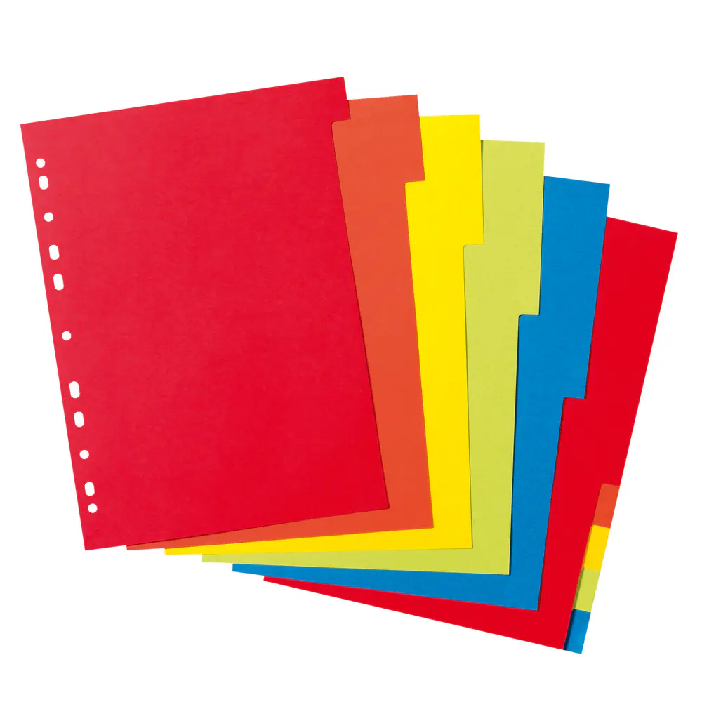 herlitz Kartonregister A4 10er Set