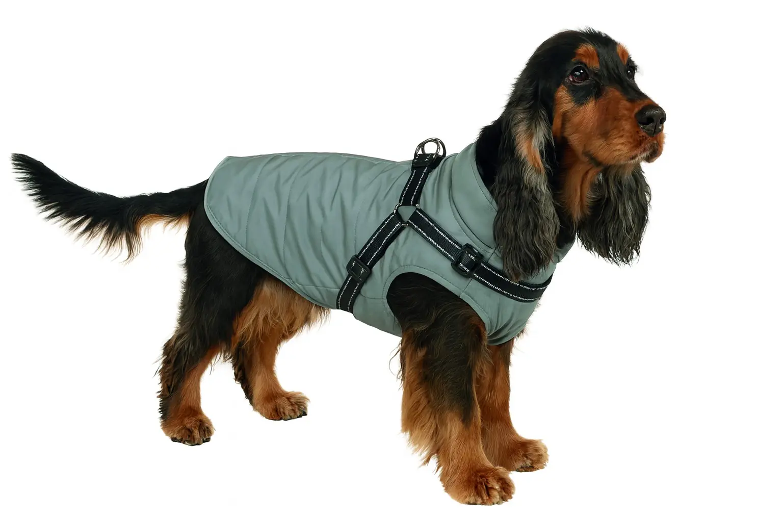 Nobby Hundemantel Full Reflect 2 in 1 silber