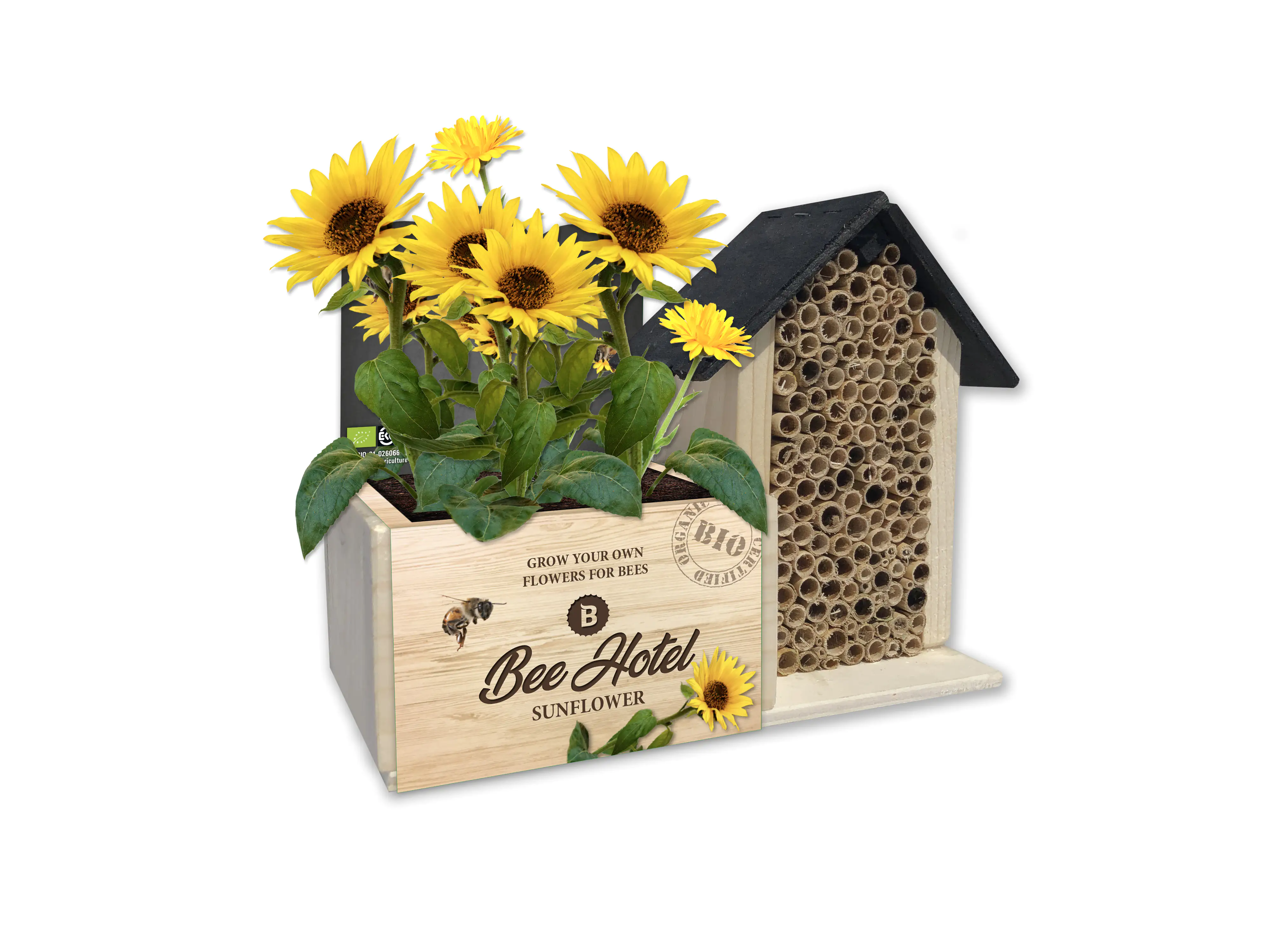 Baza Seeds Bienenhotel mit Bio Sonnenblumen