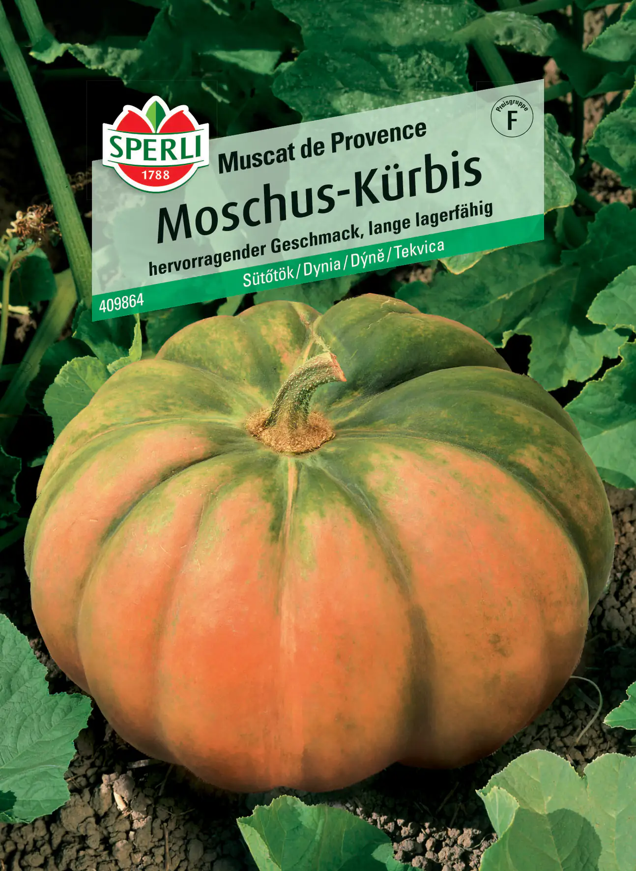 Sperli Mochus-Kürbis Muscat de Provence
