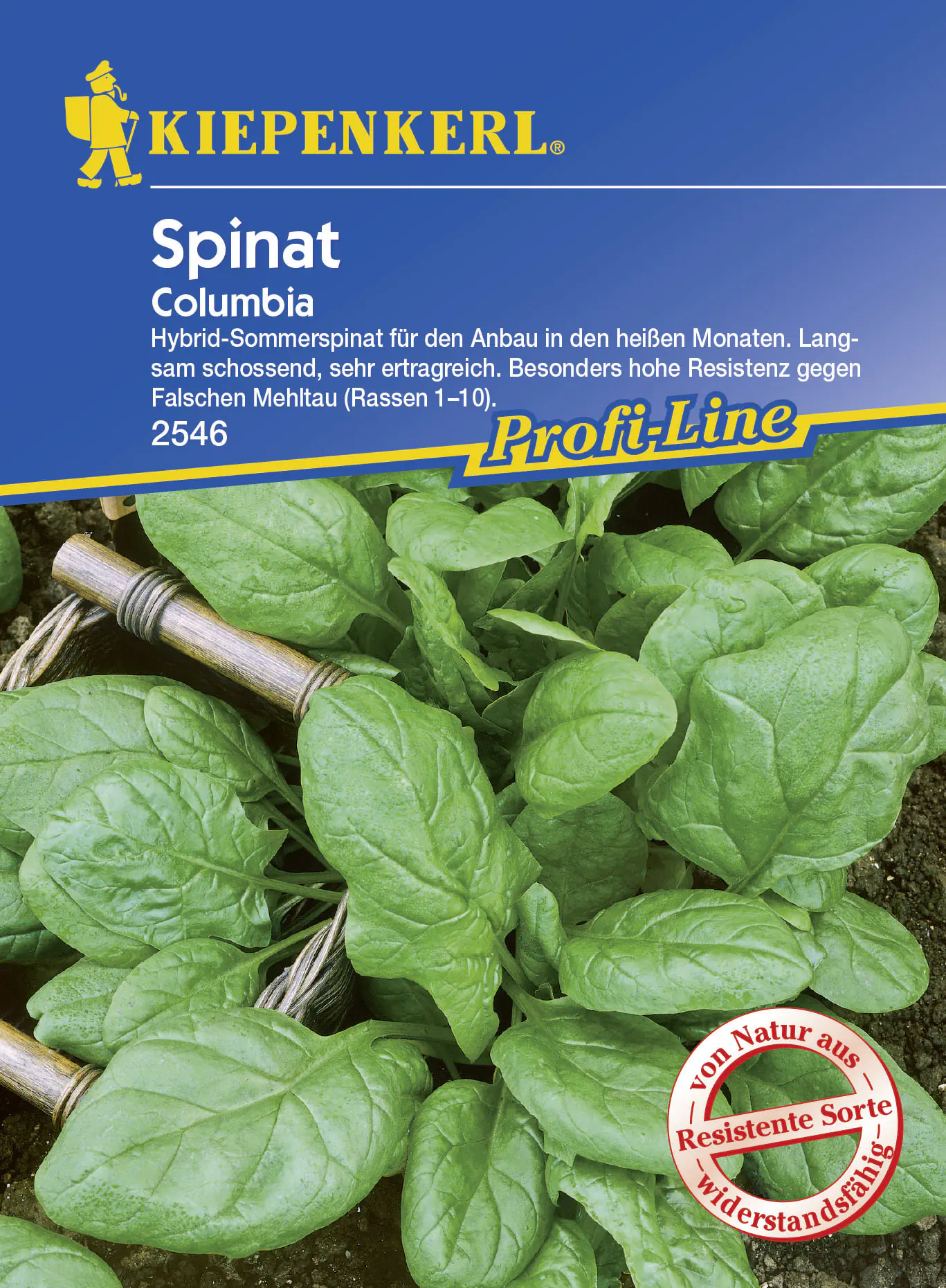 Kiepenkerl Spinat Columbia Spinacia oleracea, Inhalt: 6 Ifd. Meter