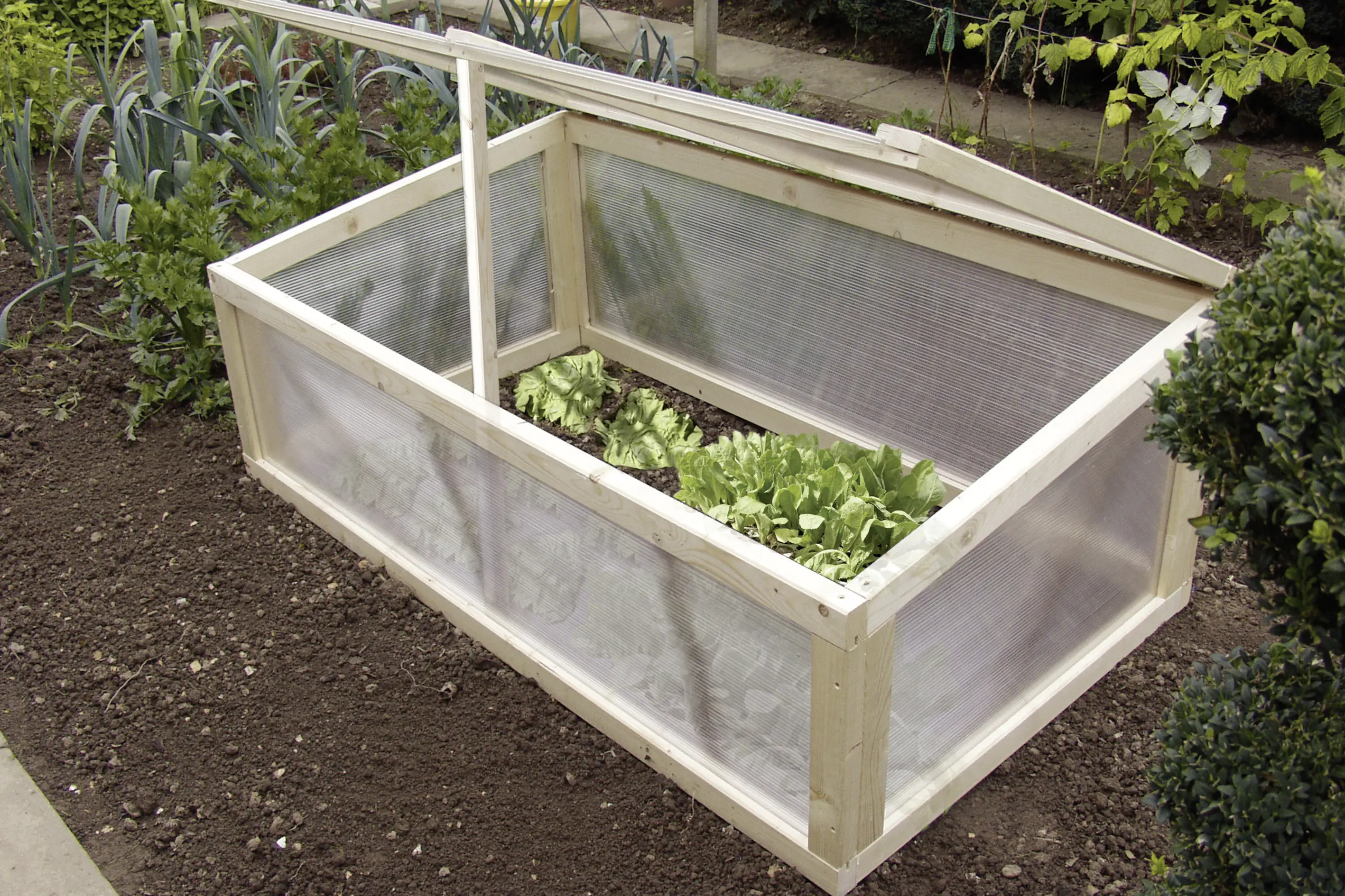 Gutta Polycarbonat-Doppelstegplatte 150 x 70 cm 4,5 mm klar