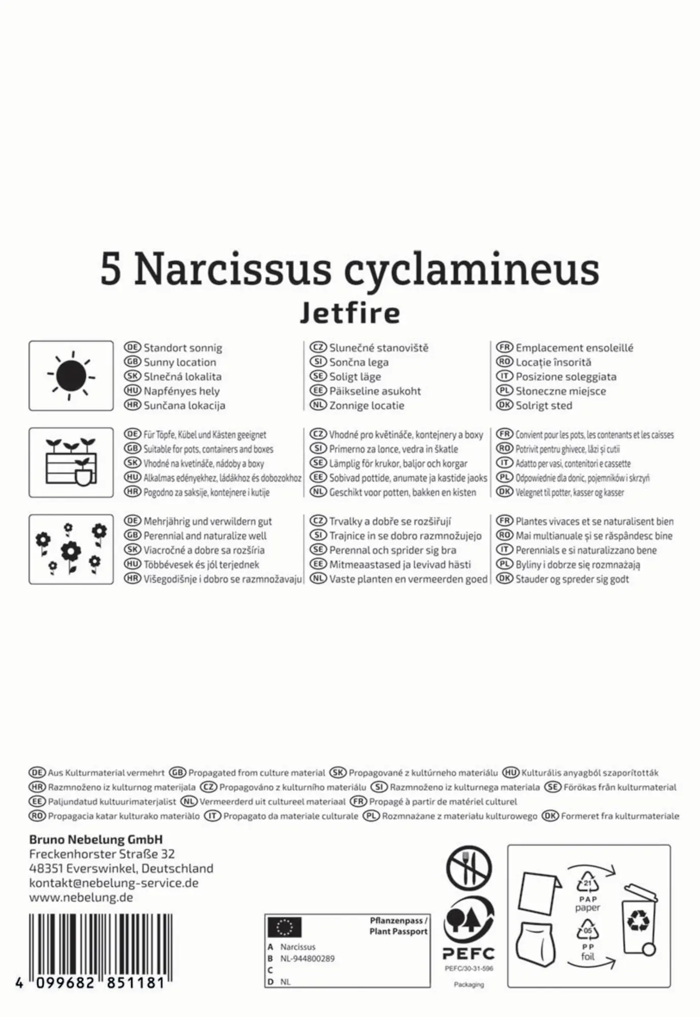 Kiepenkerl Herbstblumenzwiebel Alpenveilchen-Narzisse Jetfire 5 Stück