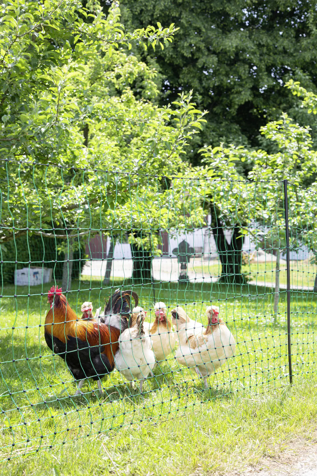 Kerbl Geflügelnetz 50 m grün H 106 cm mit Doppelspitze