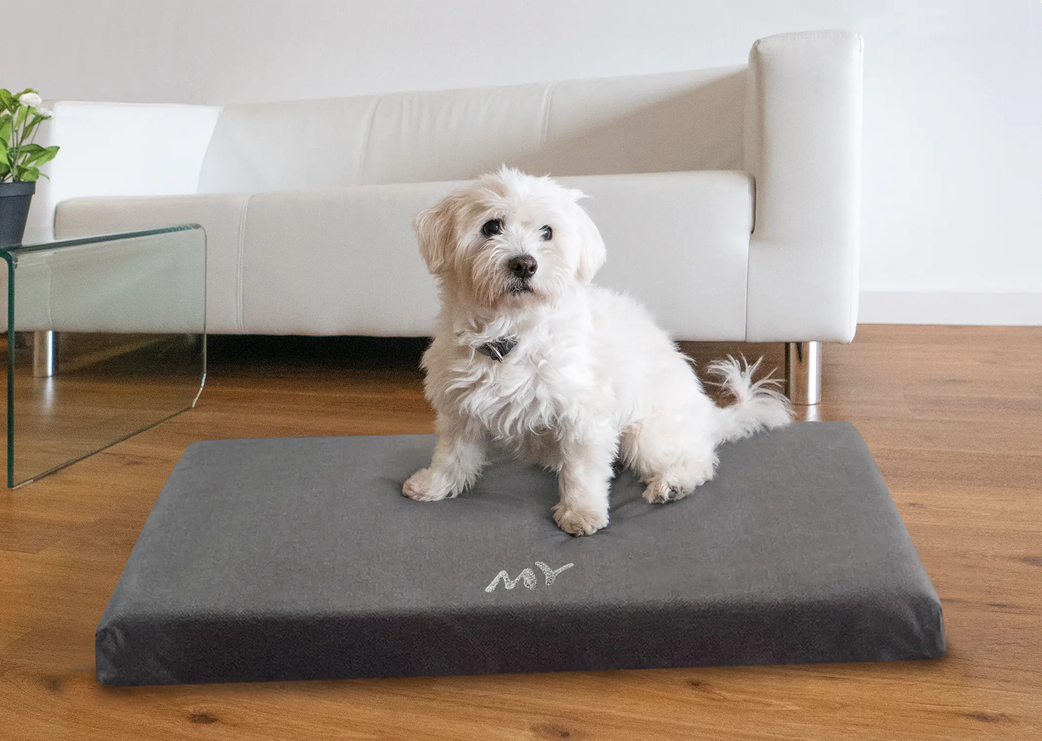 MyPlace Hundebett Tuva anthrazit MyPlace Hundebett Tuva anthrazit