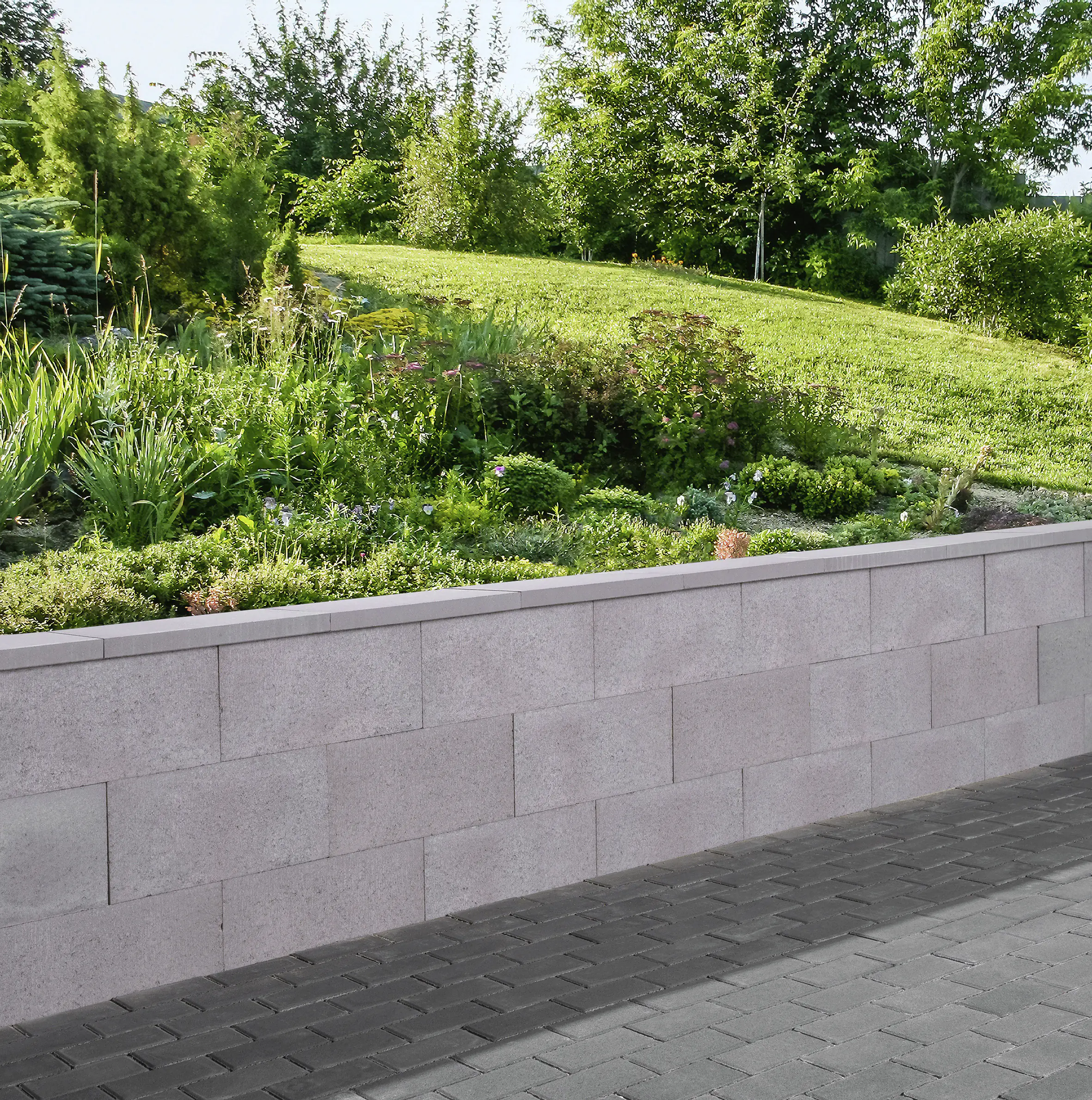 EHL Planomurabdeckplatte 50 x 32 x 4 cm grau 