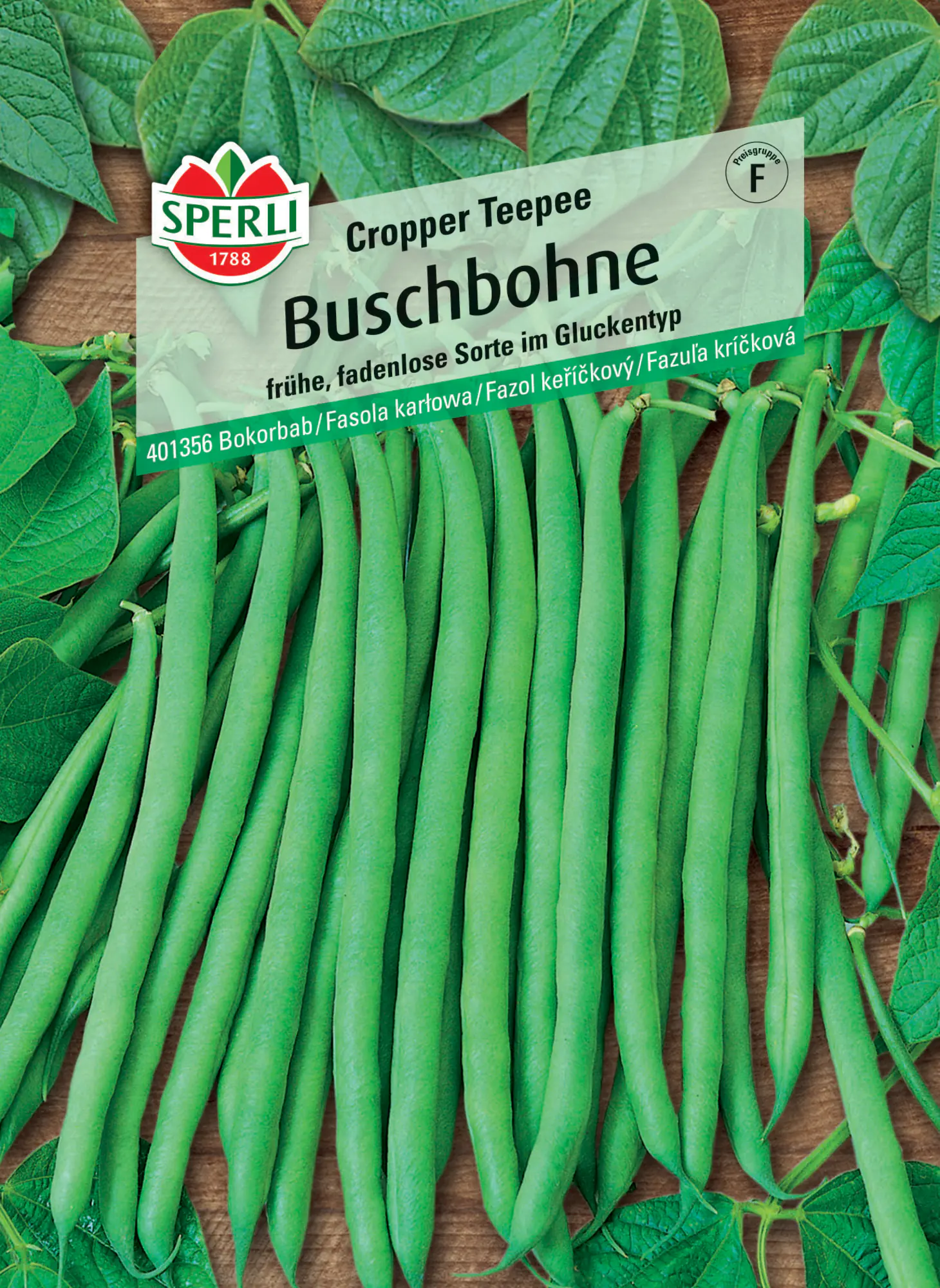 Sperli Buschbohne Cropper Teepee