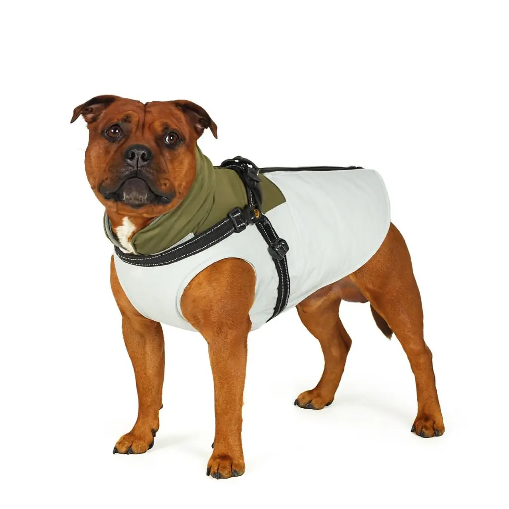 Nobby Hundemantel Jona 2 in 1 hellgrün