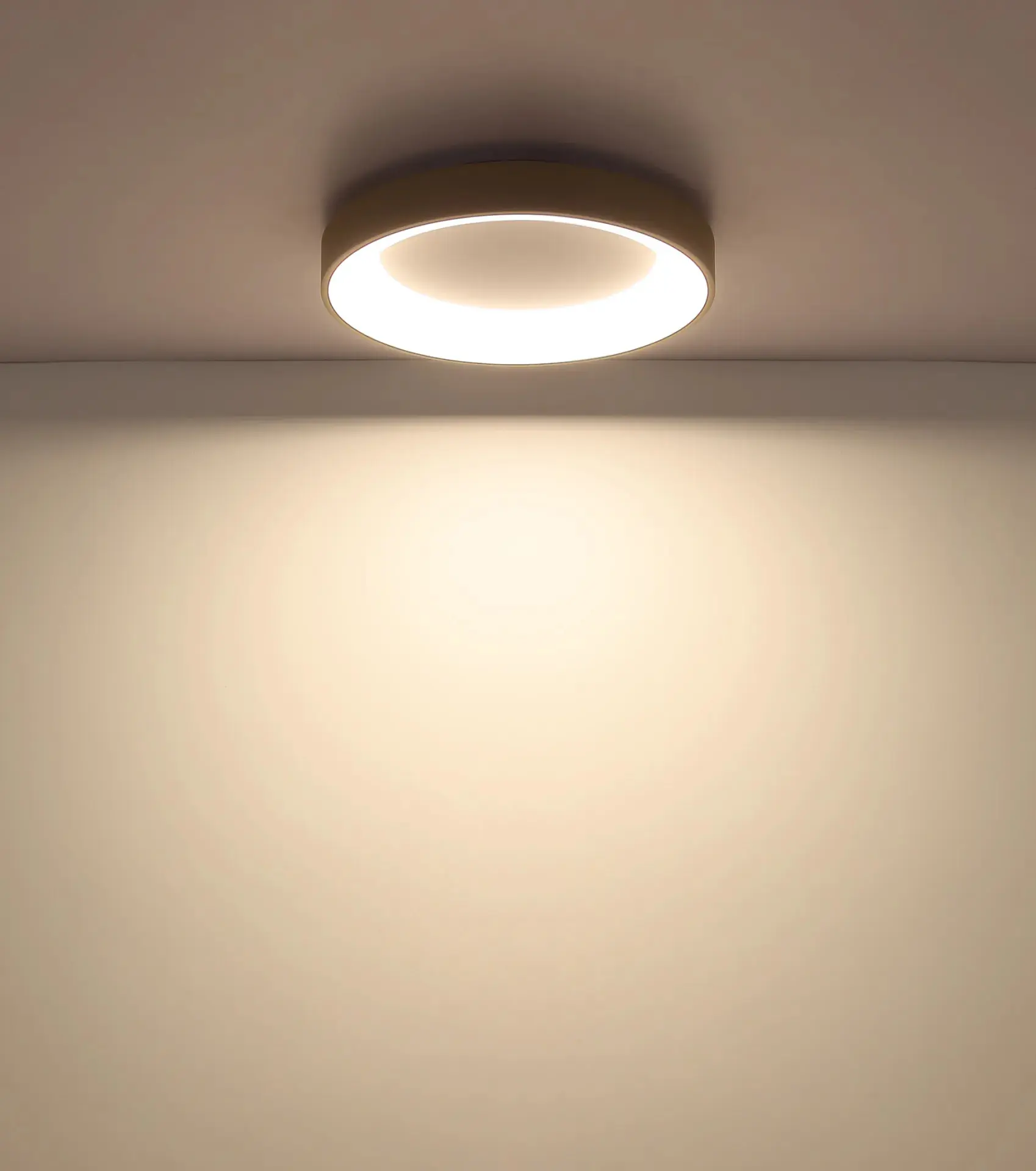 Globo LED-Deckenleuchte Gallegos 48 W 2400 lm CCT Ø 50 cm