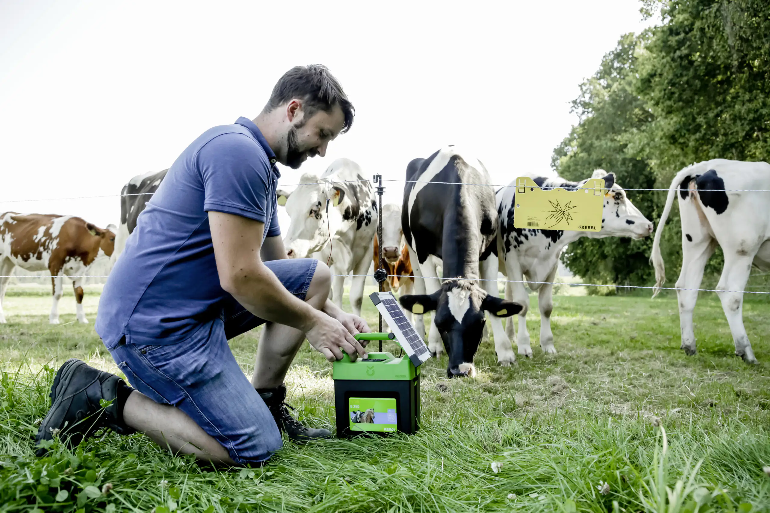 Kerbl Weidezaungerät Titan B250 Kerbl Weidezaungerät Titan B250