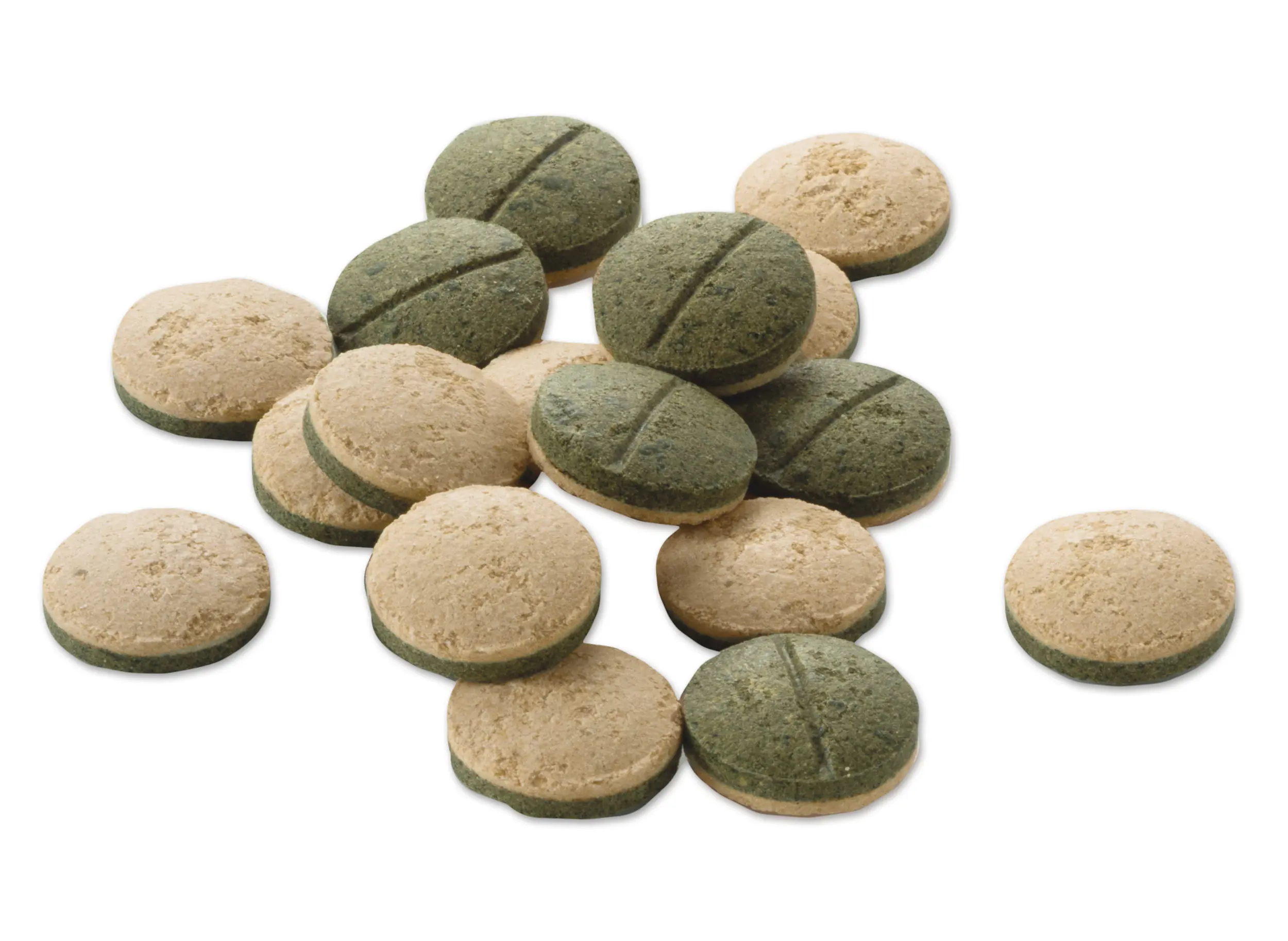 Tetra Pleco Tablets XL 133 133 Tabletten