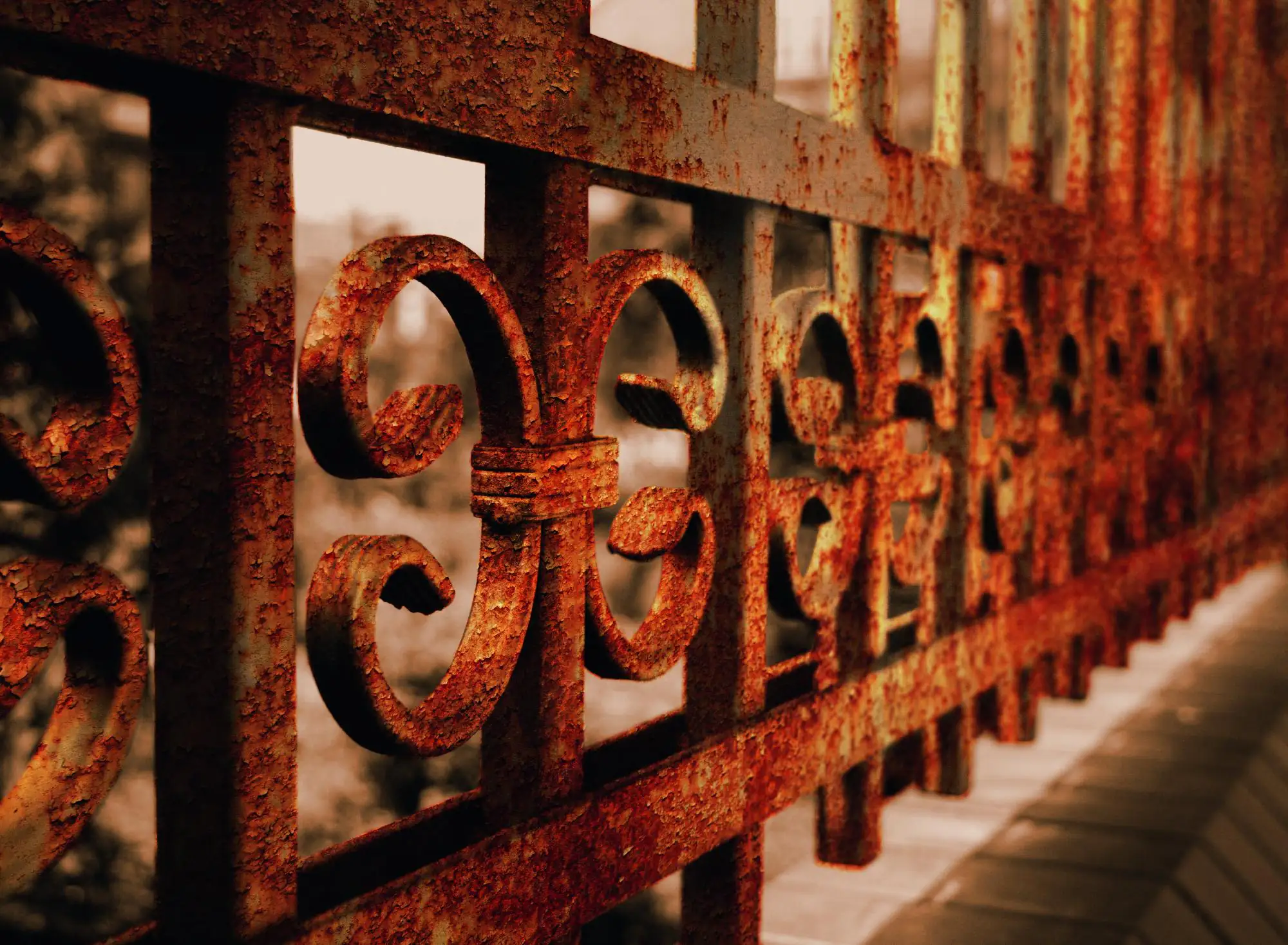 Alpina Rostumwandler 250 ml