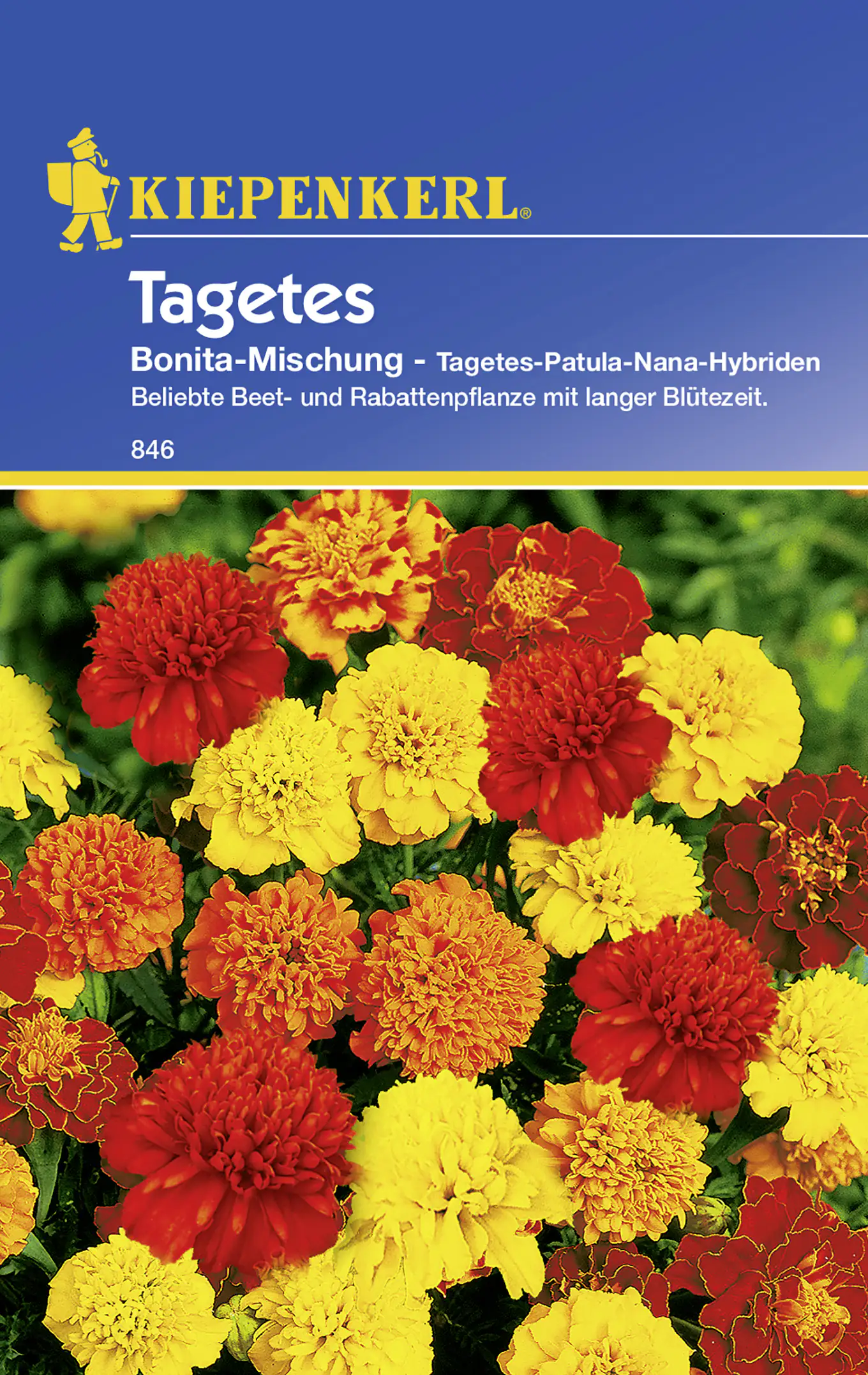 Kiepenkerl Studentenblume Bonita-Mischung Tagetes patula, Inhalt: ca. 40 Pflanzen