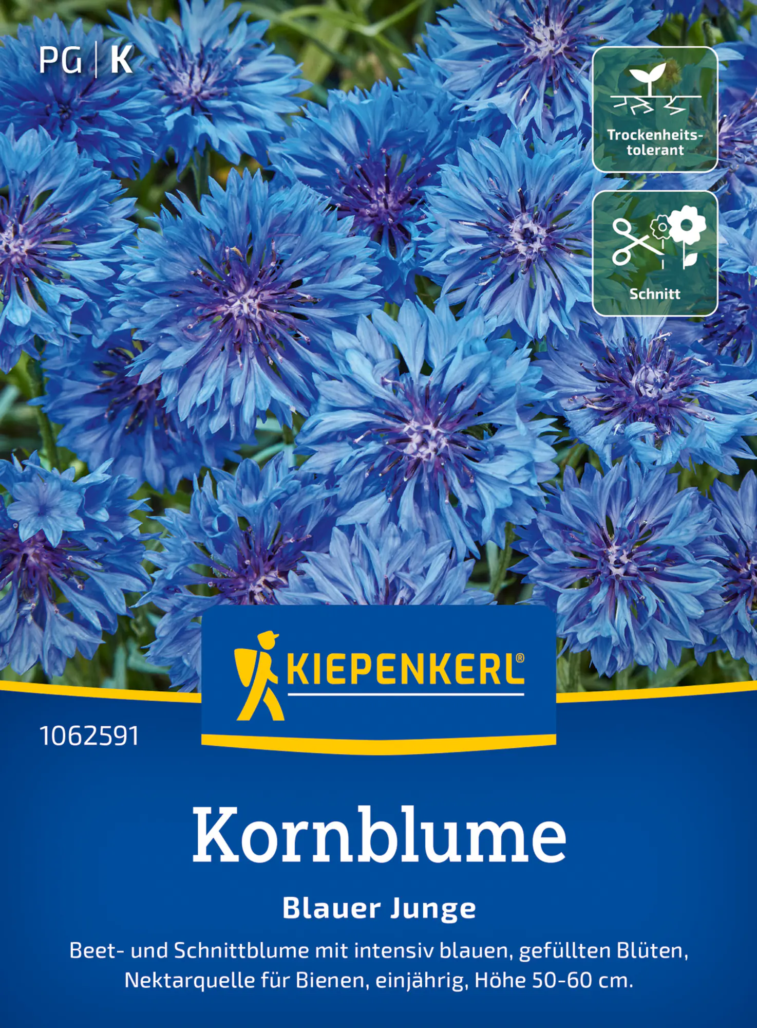 Kiepenkerl Blumensamen Kornblume Blauer Junge für ca. 80 Pflanzen