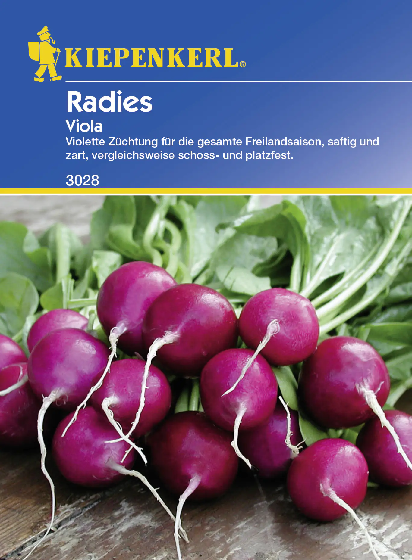 Kiepenkerl Radieschen Viola ca. 10 lfd. Meter