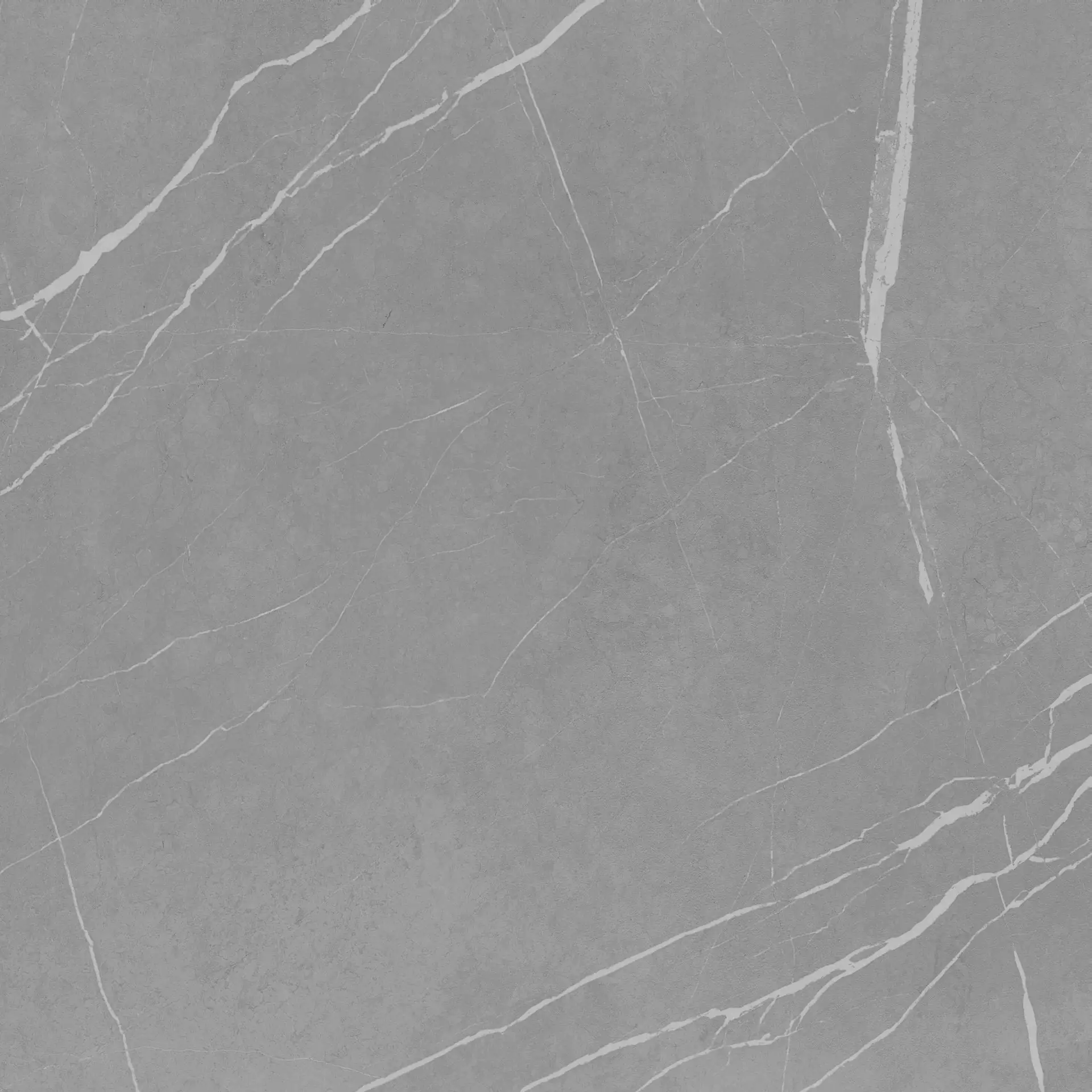 Bodenfliese Feinsteinzeug Navas 60 x 60 cm dunkelgrau