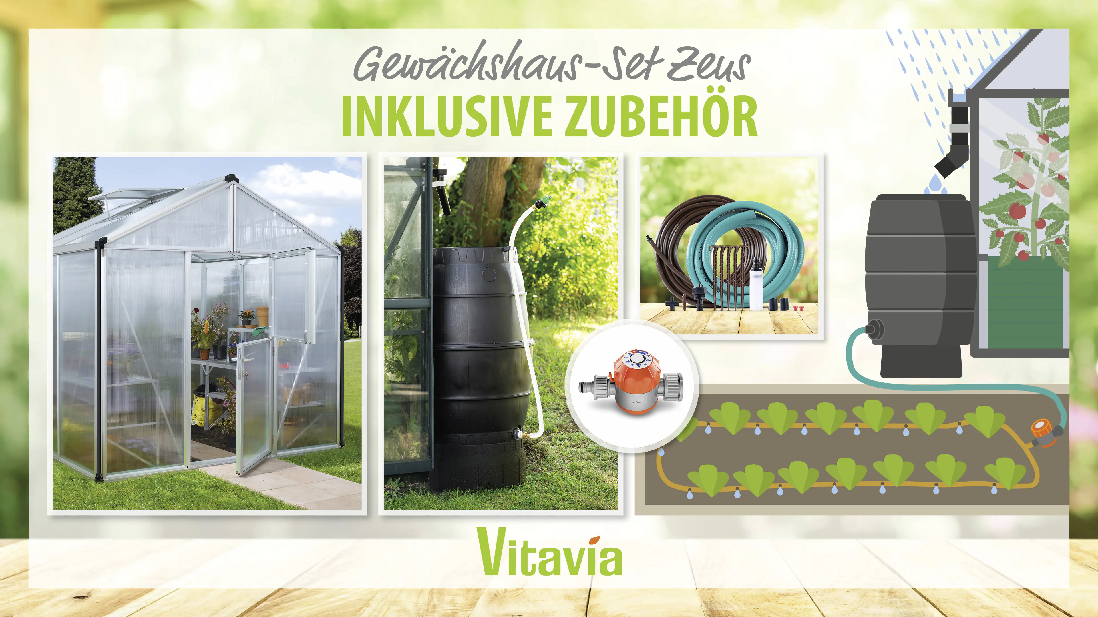 Vitavia Gewächshaus-Set Zeus 6200 HKP 10 mm alu 266 x 249 cm 