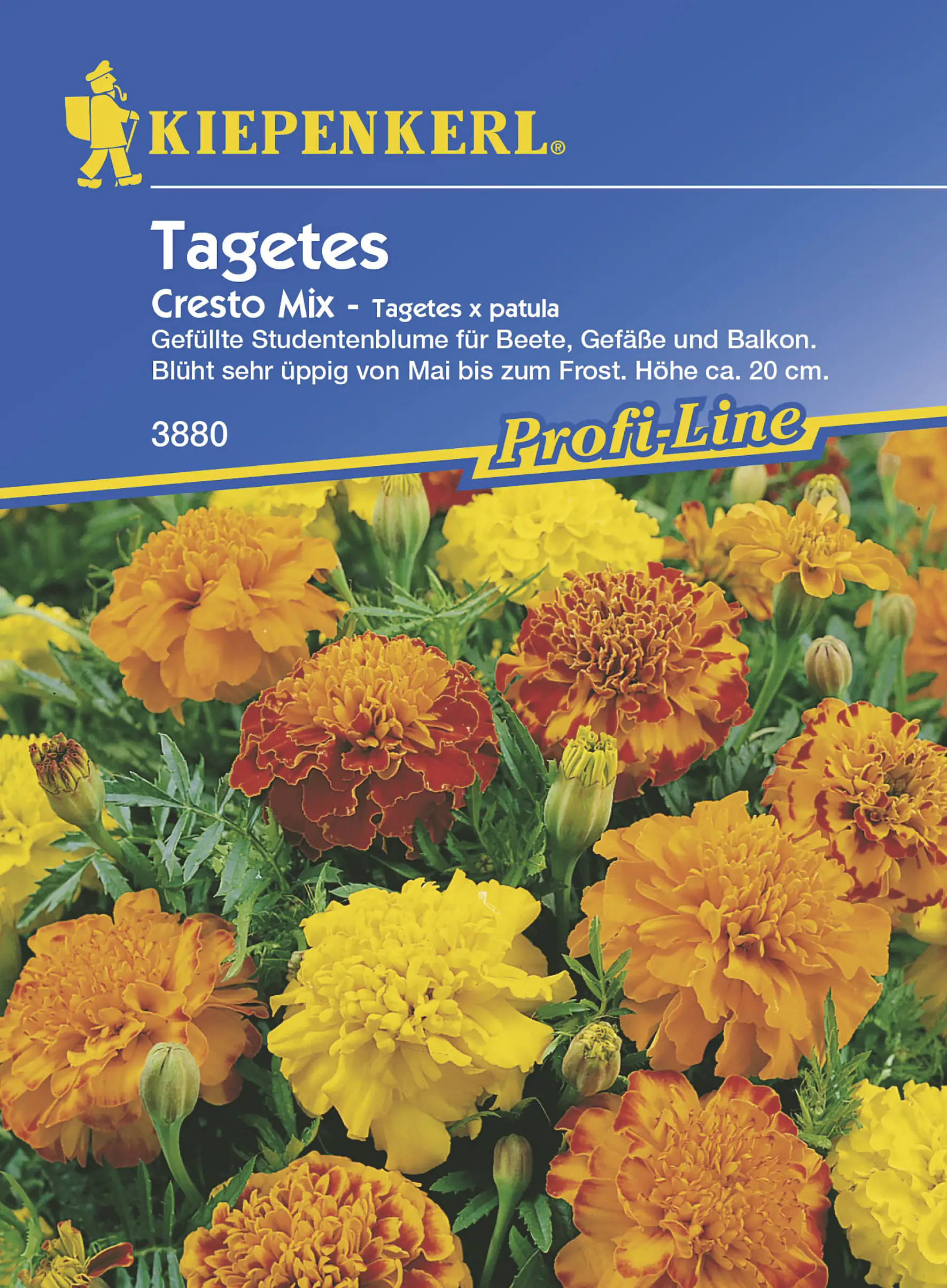 Kiepenkerl Studentenblume Cresto Mix Inhalt reicht für ca. 50 Pflanzen