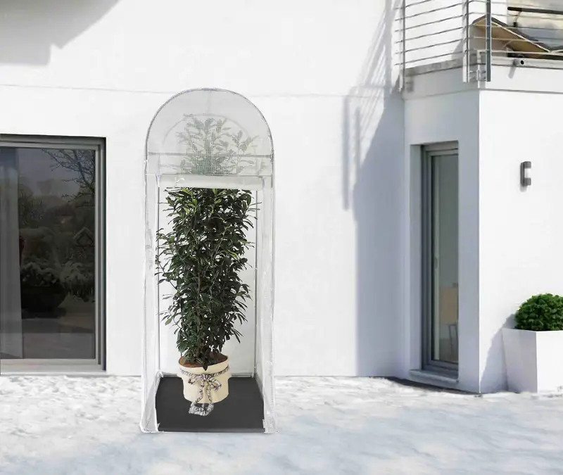 Videx Winterschutz Frost-Schutzhaus PALM PROTECT 250 x 100 x 100 cm, transparent