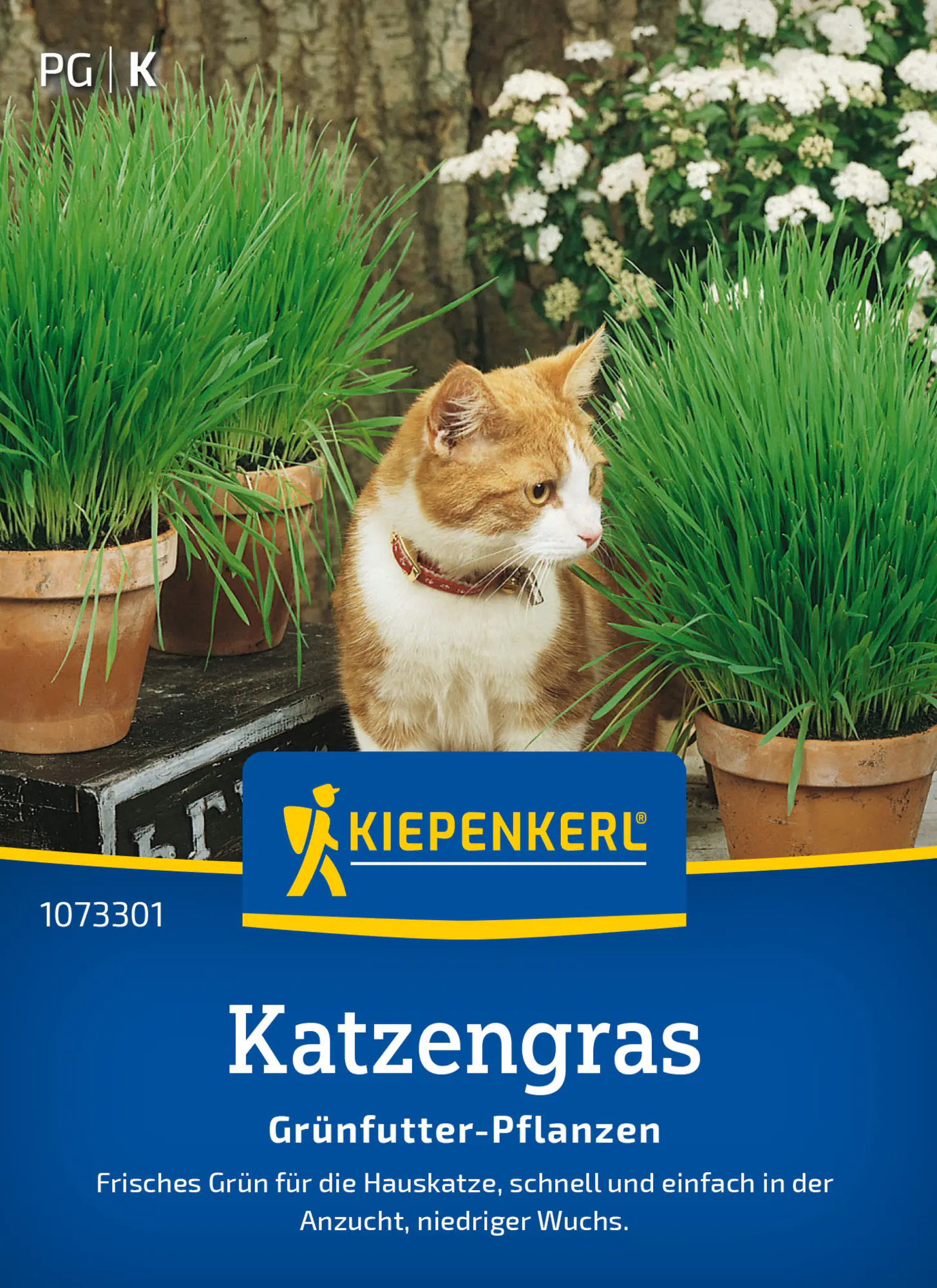 Kiepenkerl Saatgut Katzengras Frischgrün Mischung für ca. 1 m²