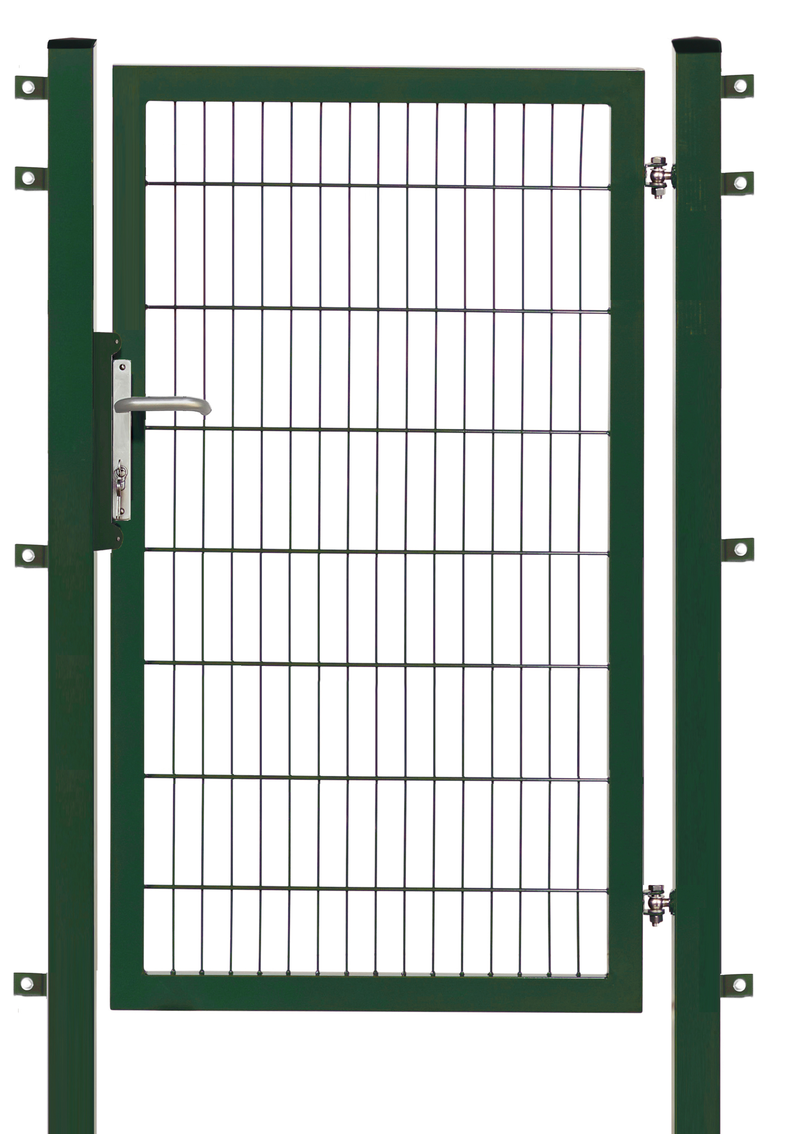 Floraworld Gartentor Premium 100 x 160 cm moosgrün